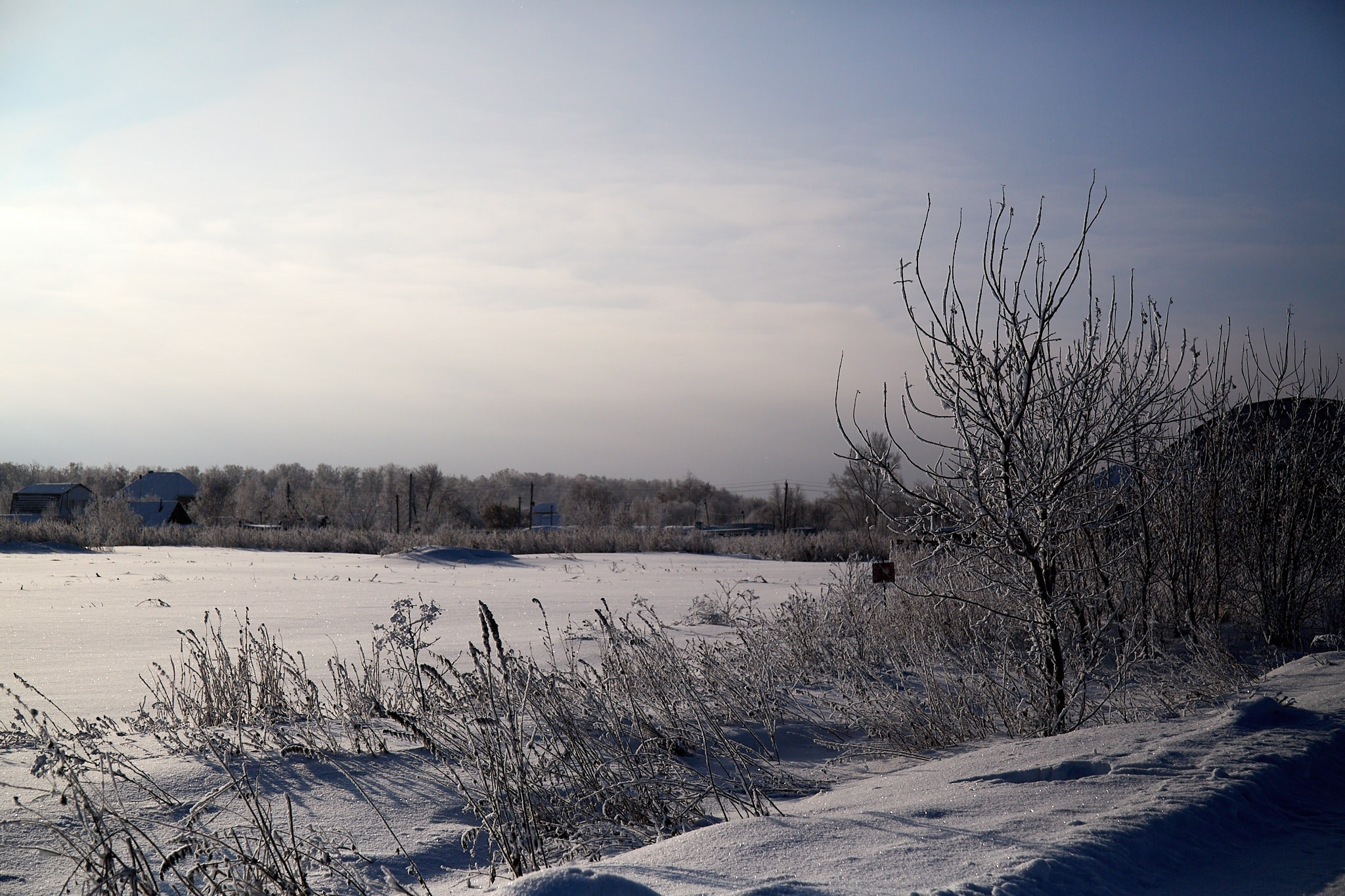 Предновогодняя сказка. Фотограф Омск | Александр Вандеров