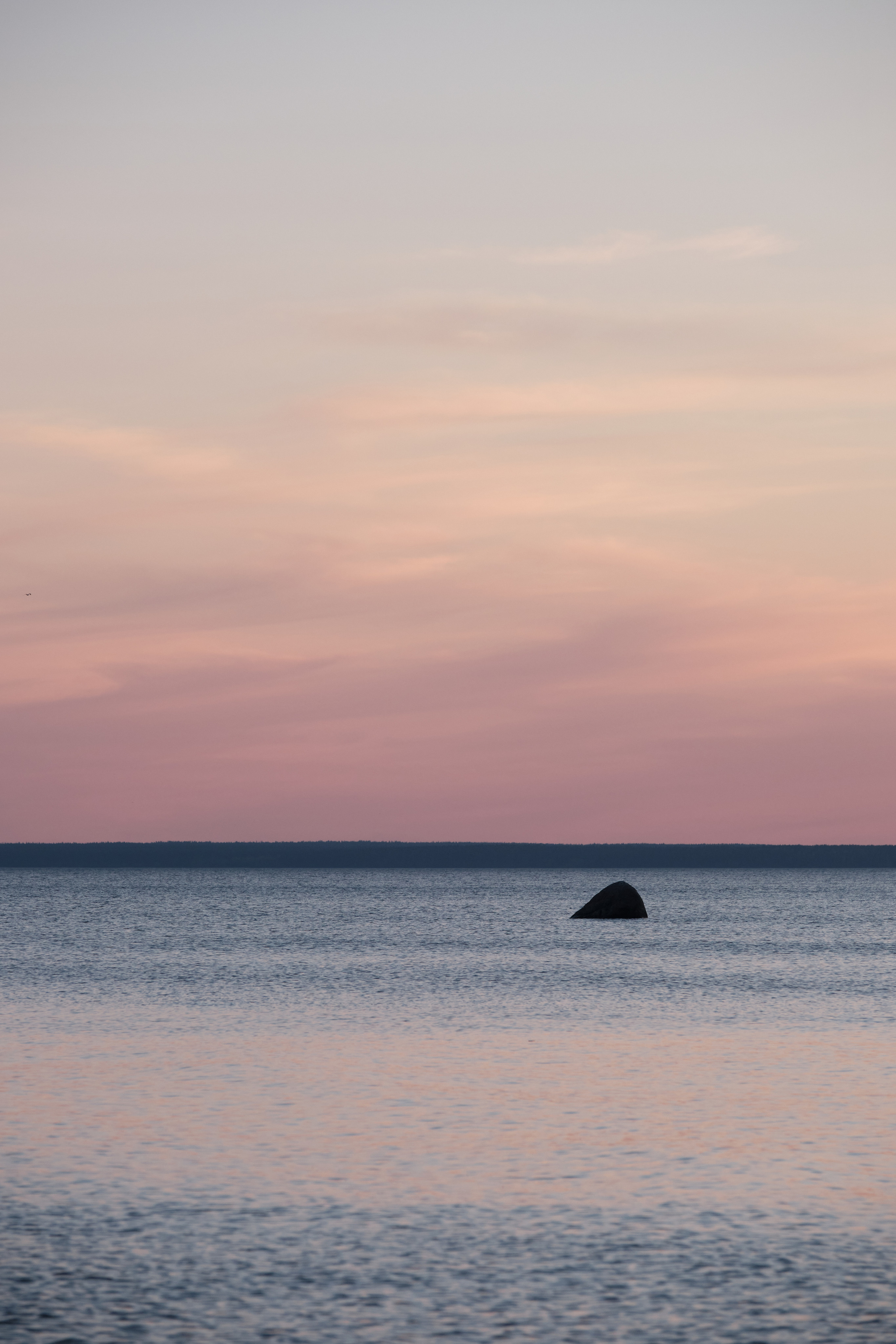 Solar Systo. Юреализм