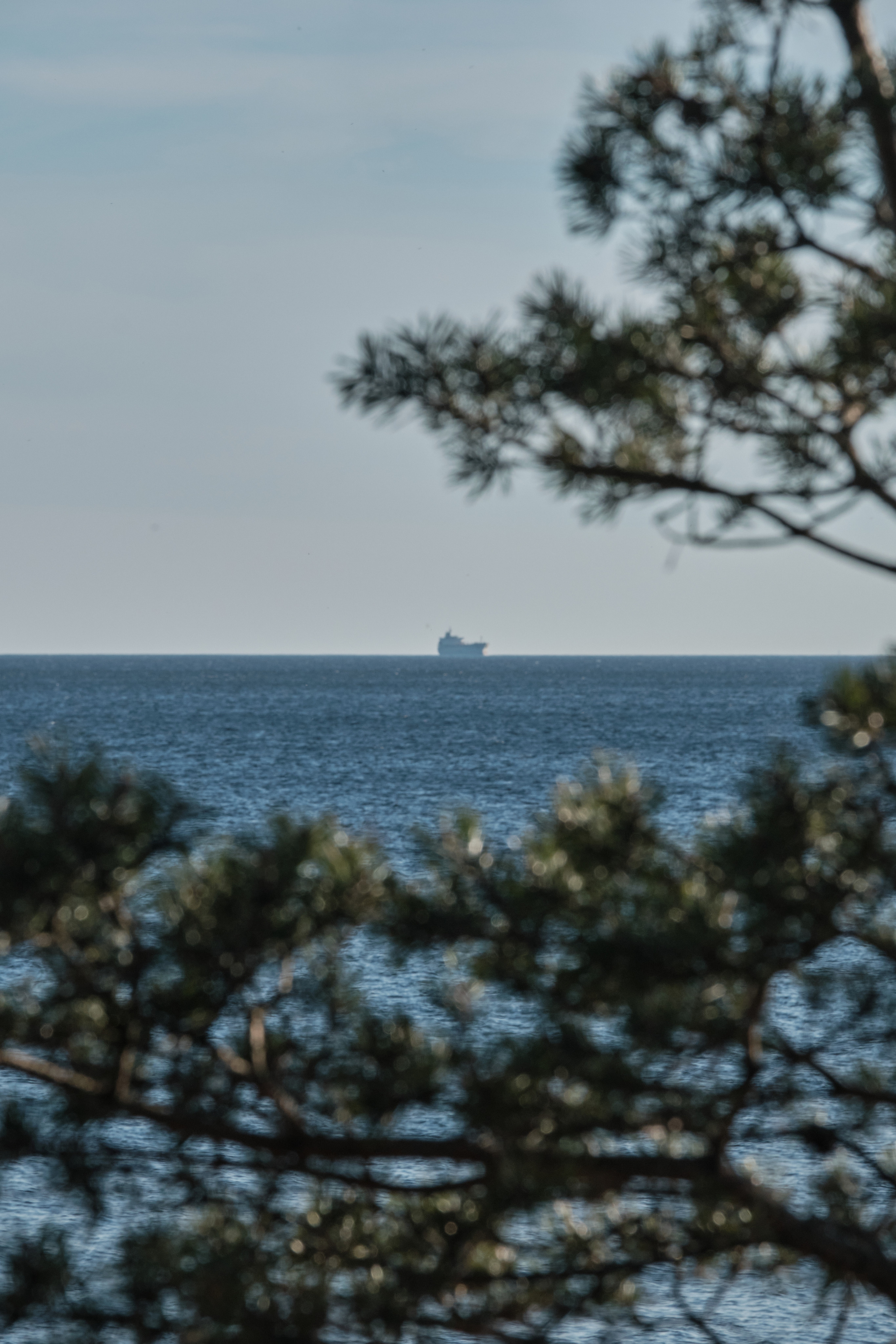 Solar Systo. Юреализм