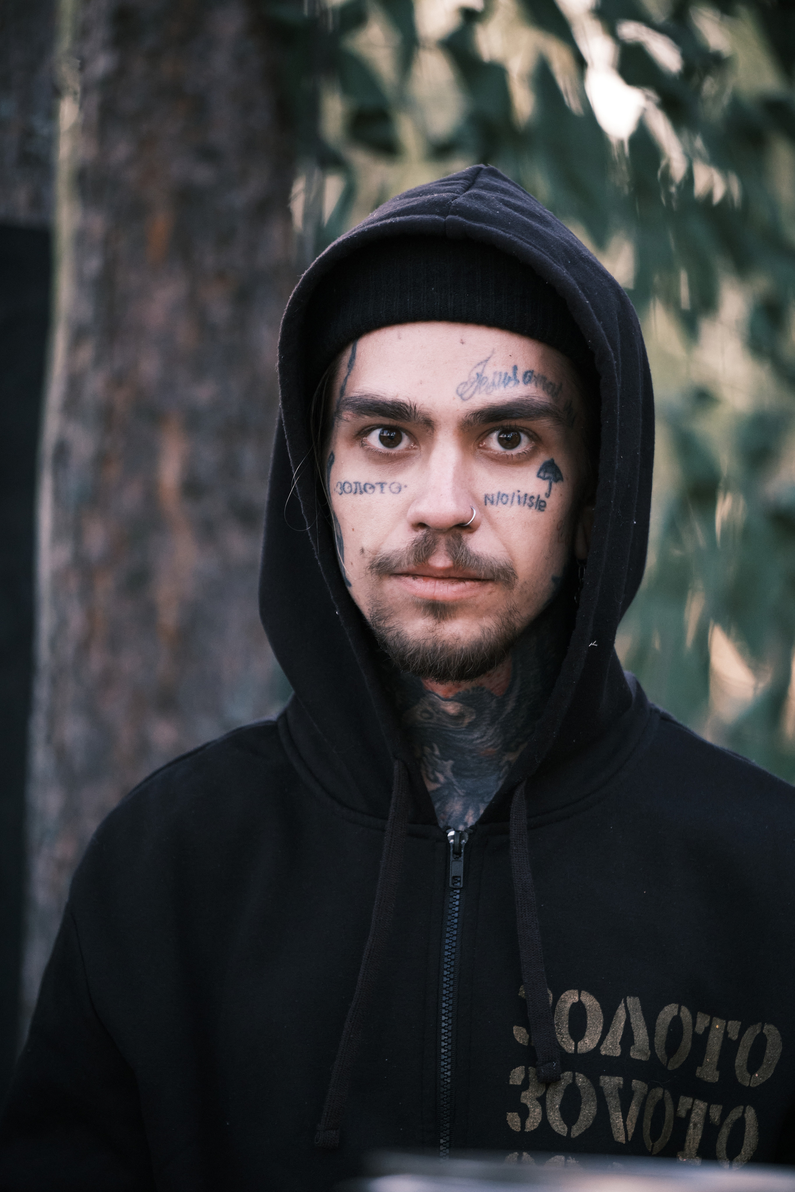 Solar Systo. Юреализм