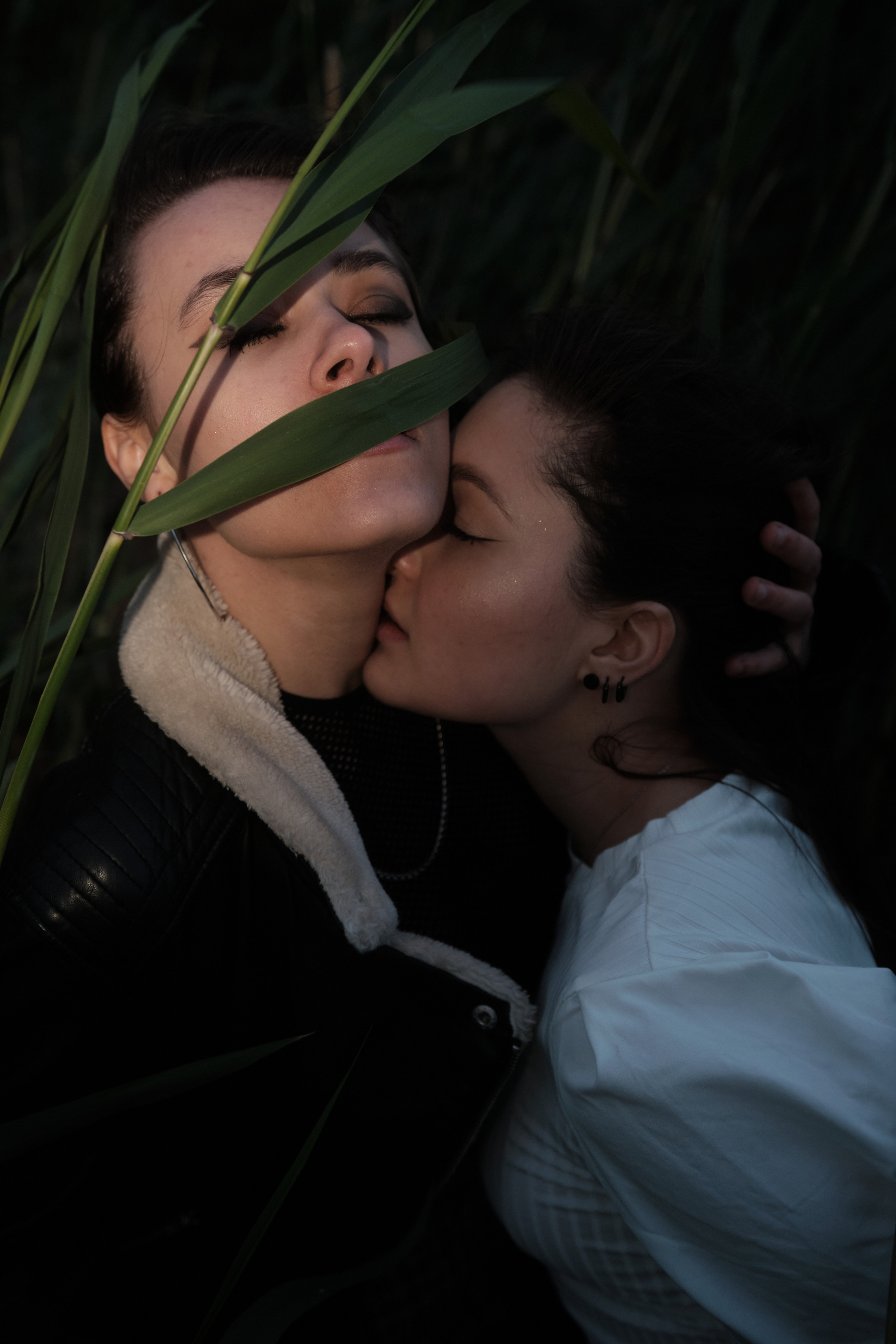 Лето. Юреализм