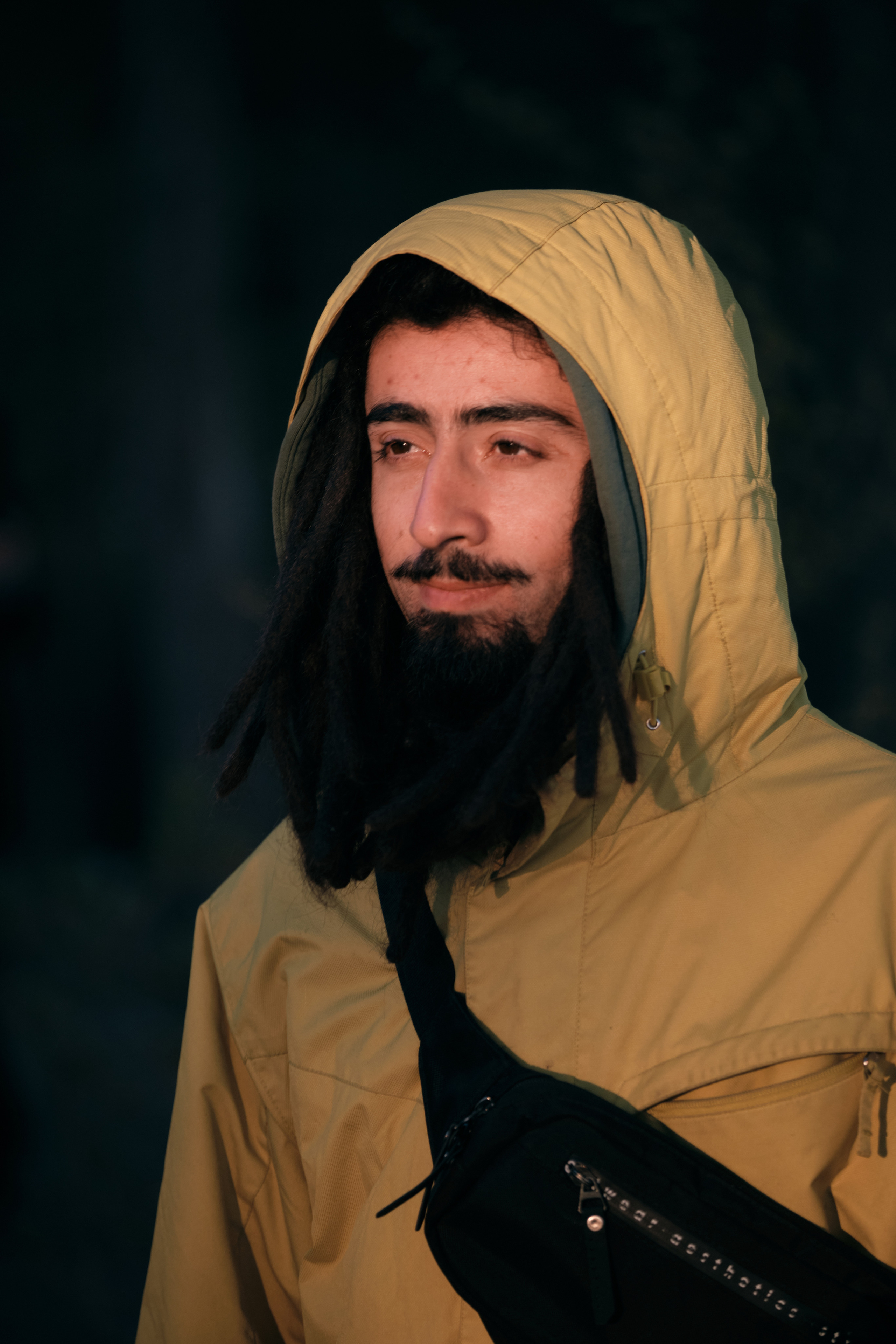 Solar Systo. Юреализм