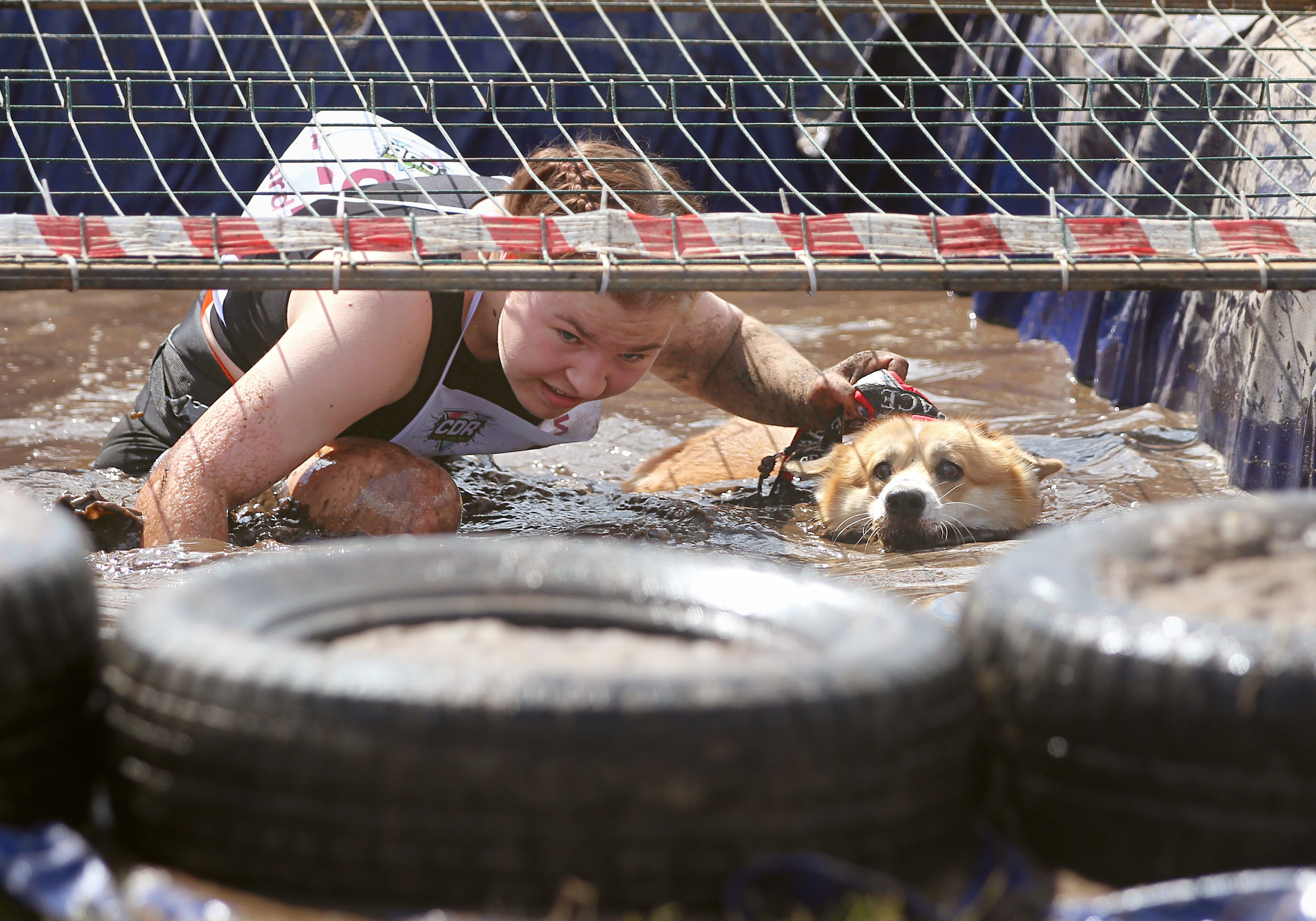 Хвостатый драйв. Семейный и детский фотограф в Москве и МО Елена Москвичева