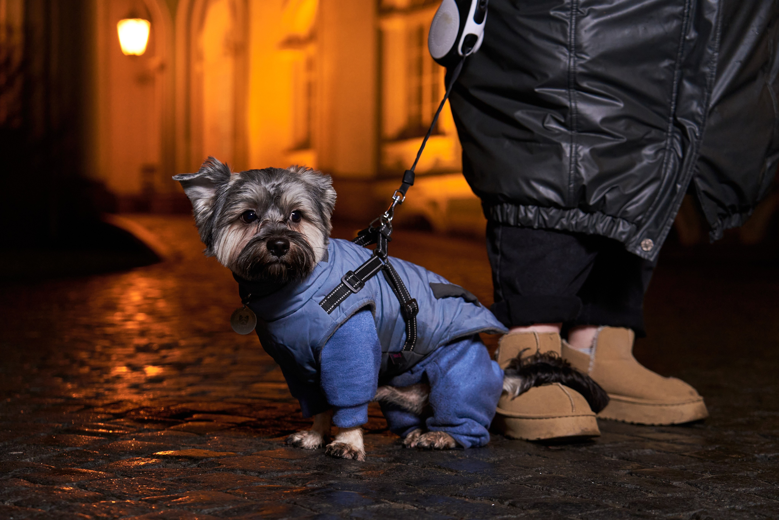 Мария и Гуффи. Фотограф людей и животных в Санкт-Петербурге Марина Бурмистрова