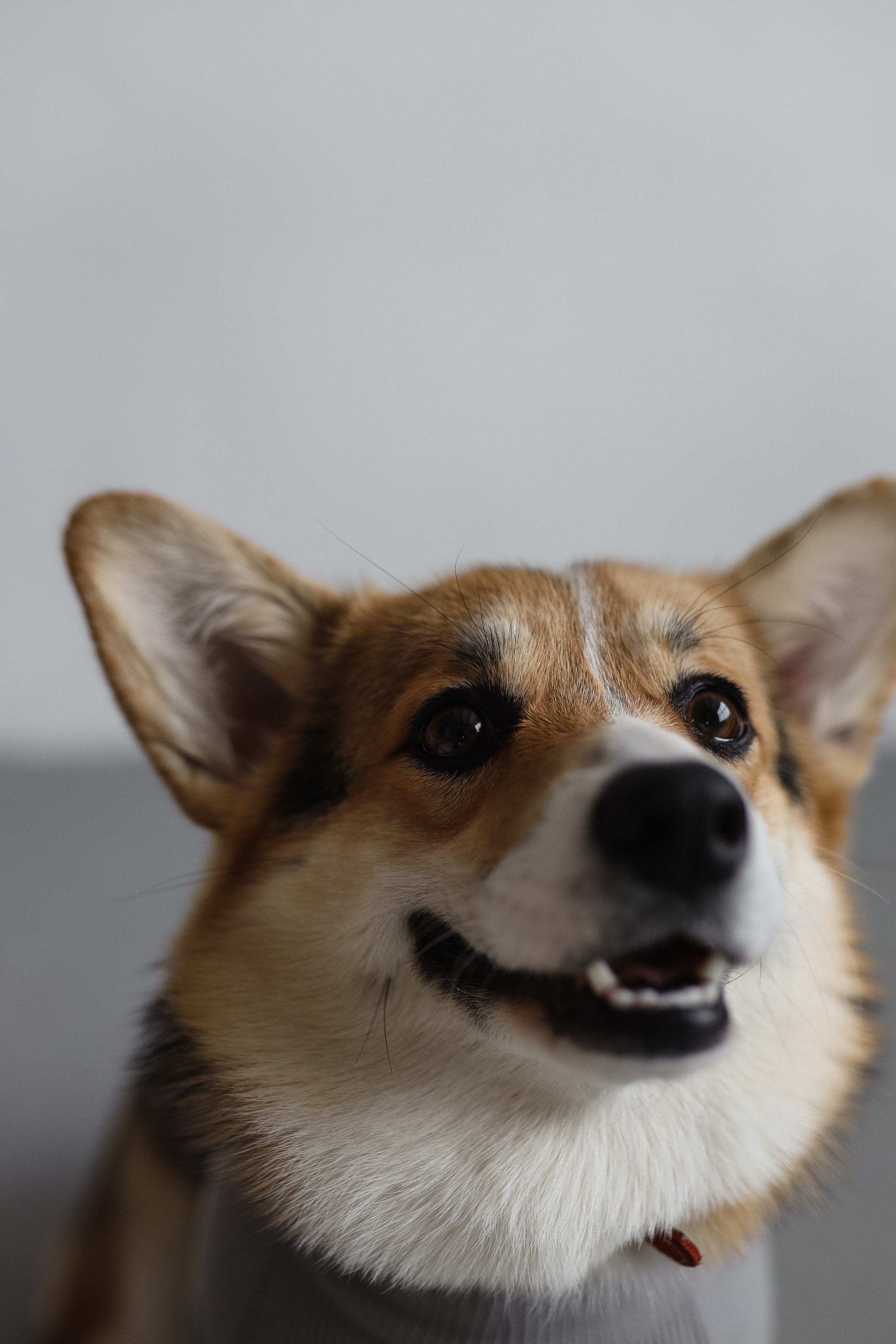 Гендер пати Анастасии и Вадима