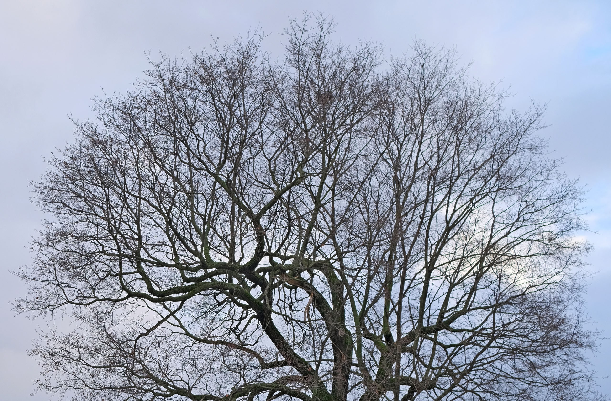 Фотоальбом с разными съёмками