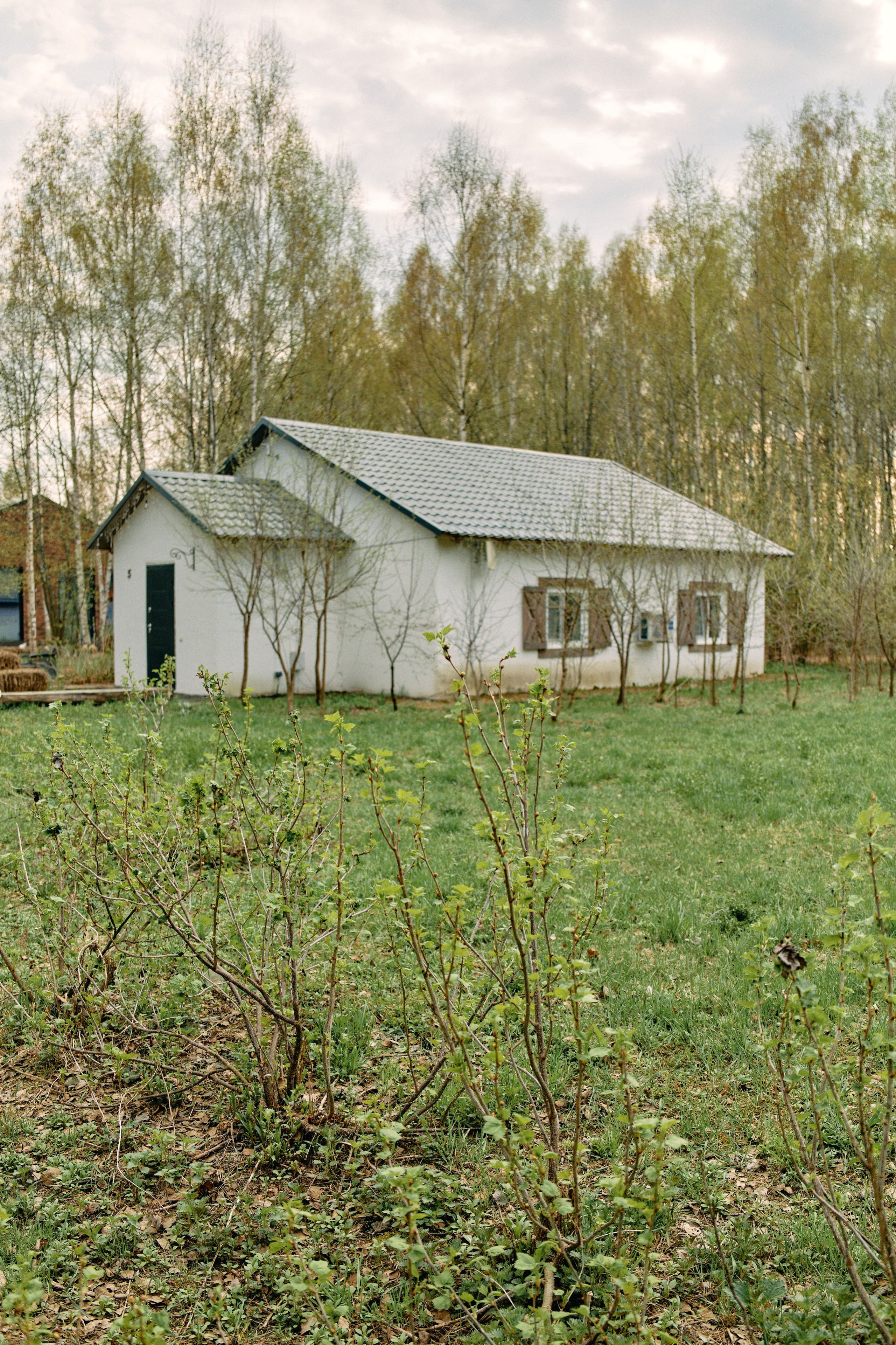 Бутик-отель Поле летом. Профессиональный Фотограф во Владимире, в Москве и в Суздале — Полина Романычева