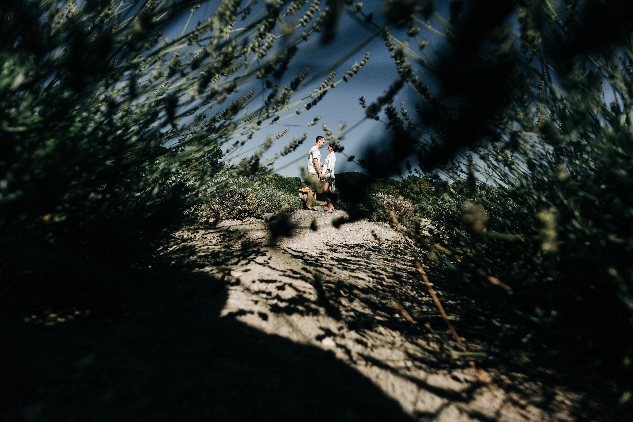 LoveStory победитель WeddingAwardsЮГ. Свадебный и семейный фотограф в Краснодаре Роман Моско