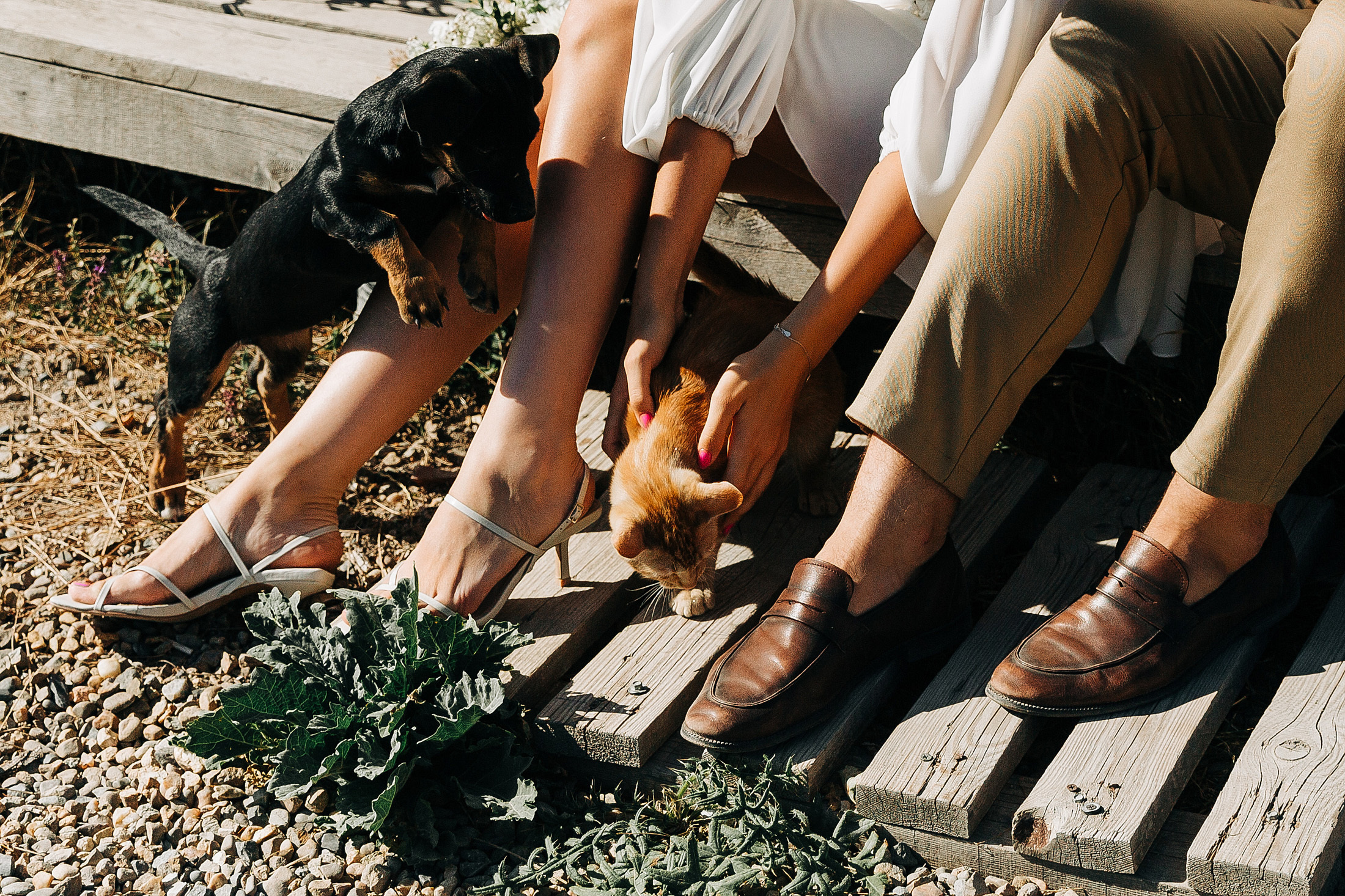 LoveStory победитель WeddingAwardsЮГ. Свадебный и семейный фотограф в Краснодаре Роман Моско