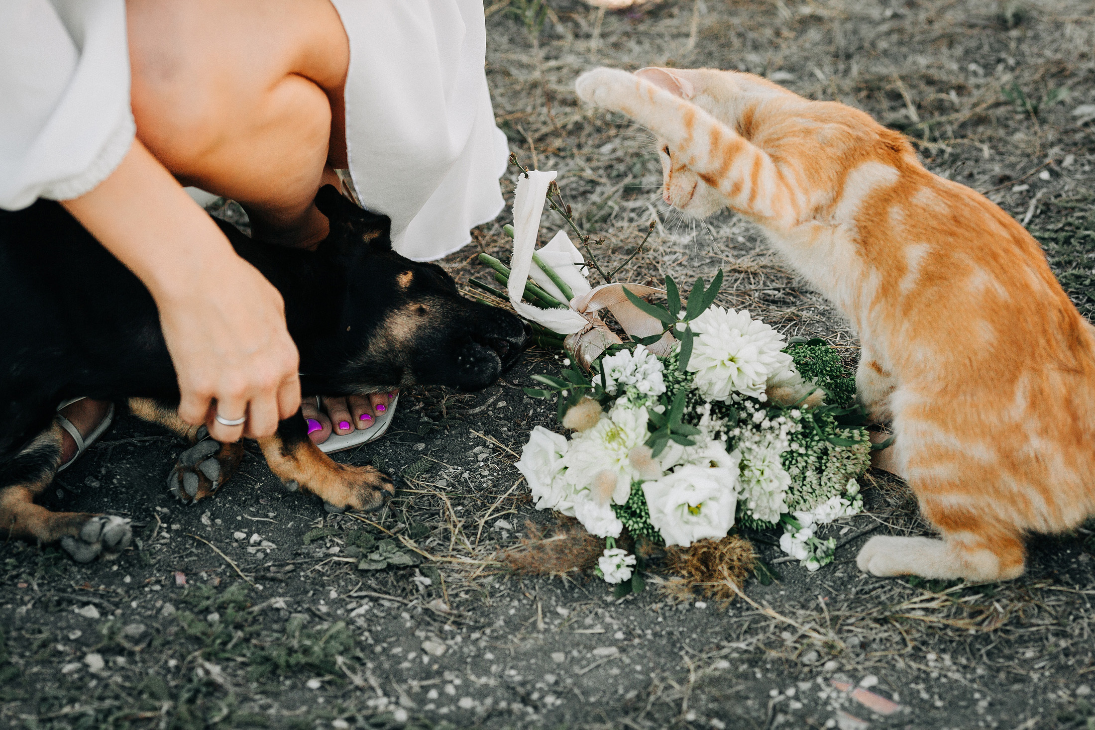 LoveStory победитель WeddingAwardsЮГ. Свадебный и семейный фотограф в Краснодаре Роман Моско