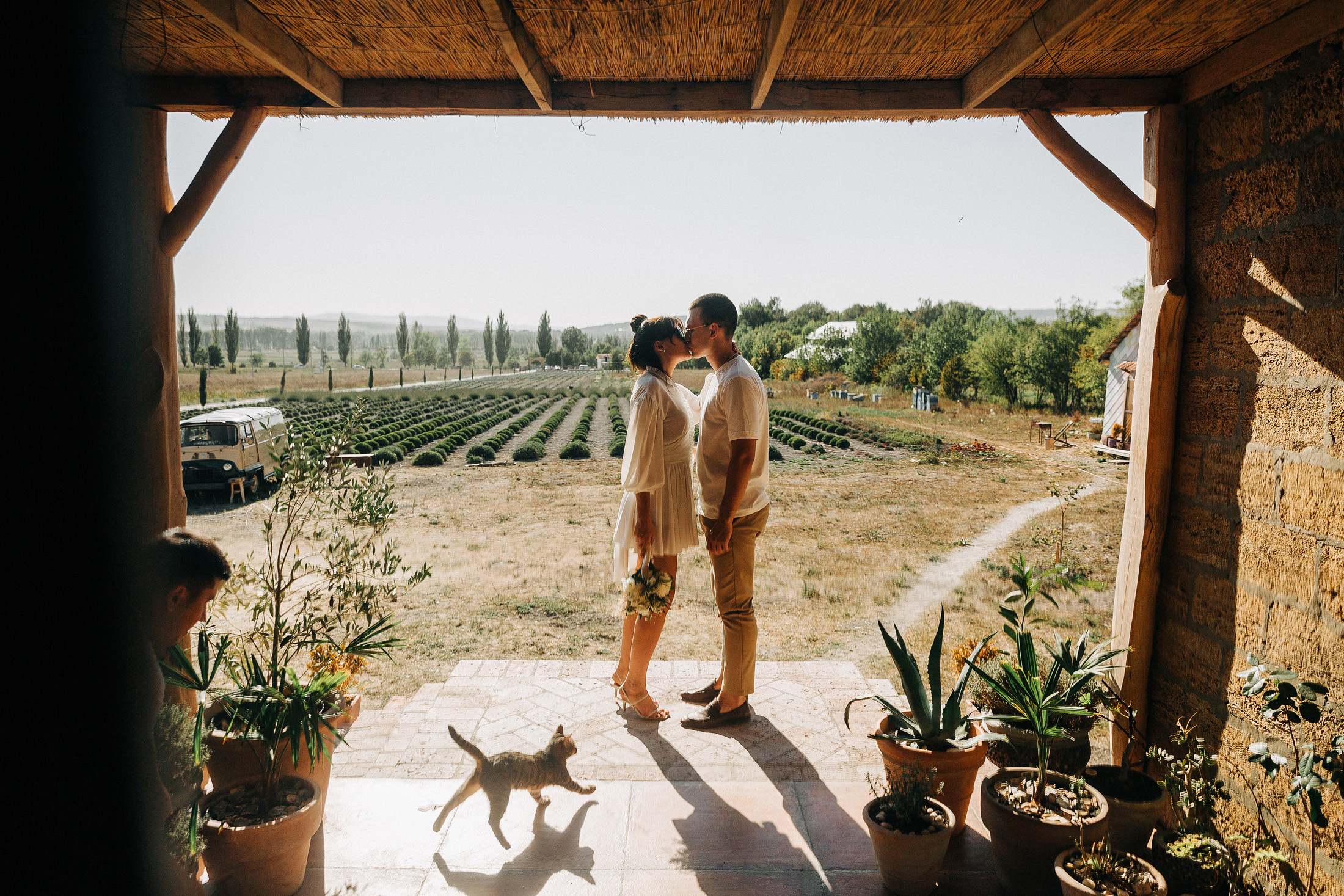 LoveStory победитель WeddingAwardsЮГ. Свадебный и семейный фотограф в Краснодаре Роман Моско
