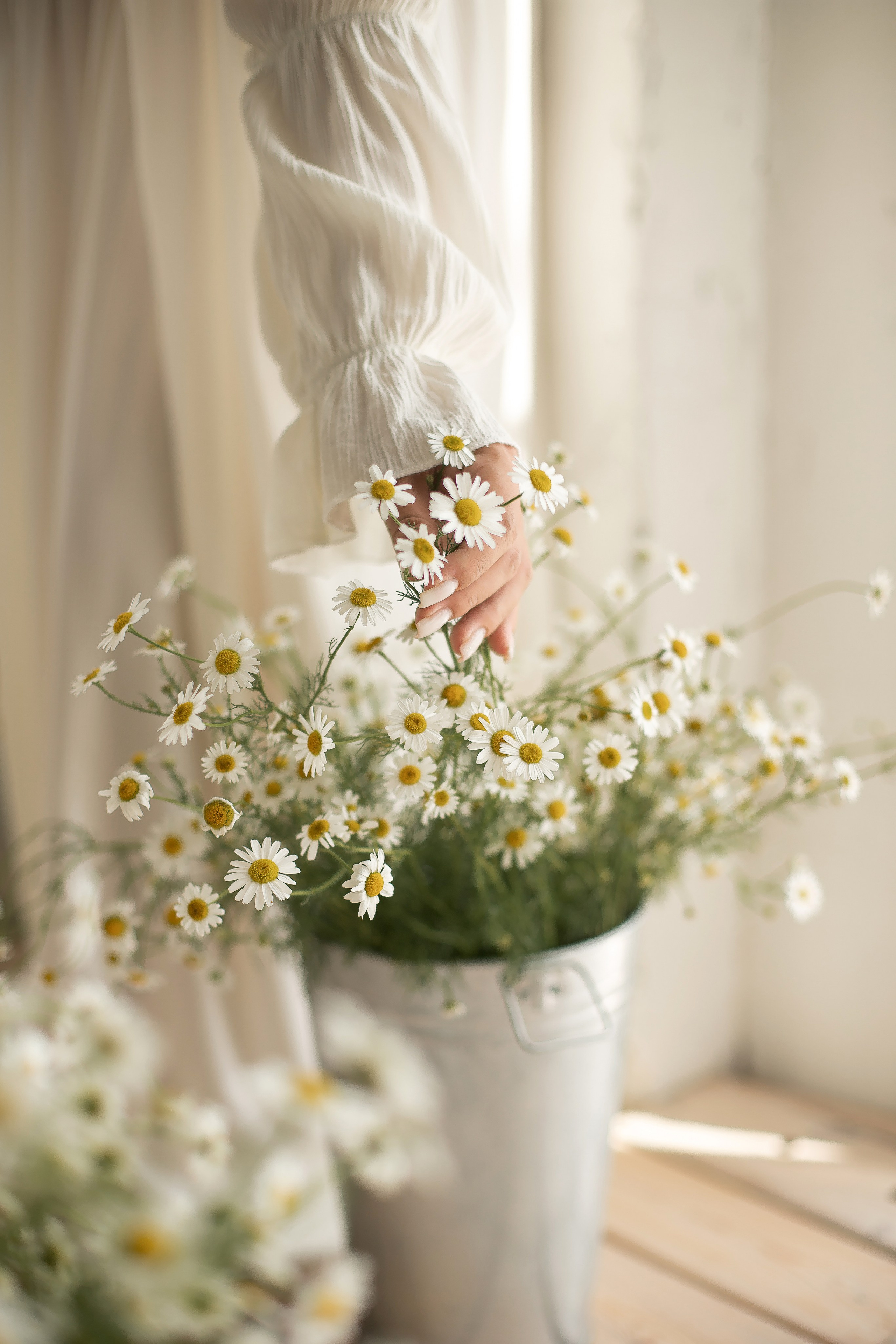Ксения и ромашки. Семейный и детский фотограф в Красноярске Анна Маюрова