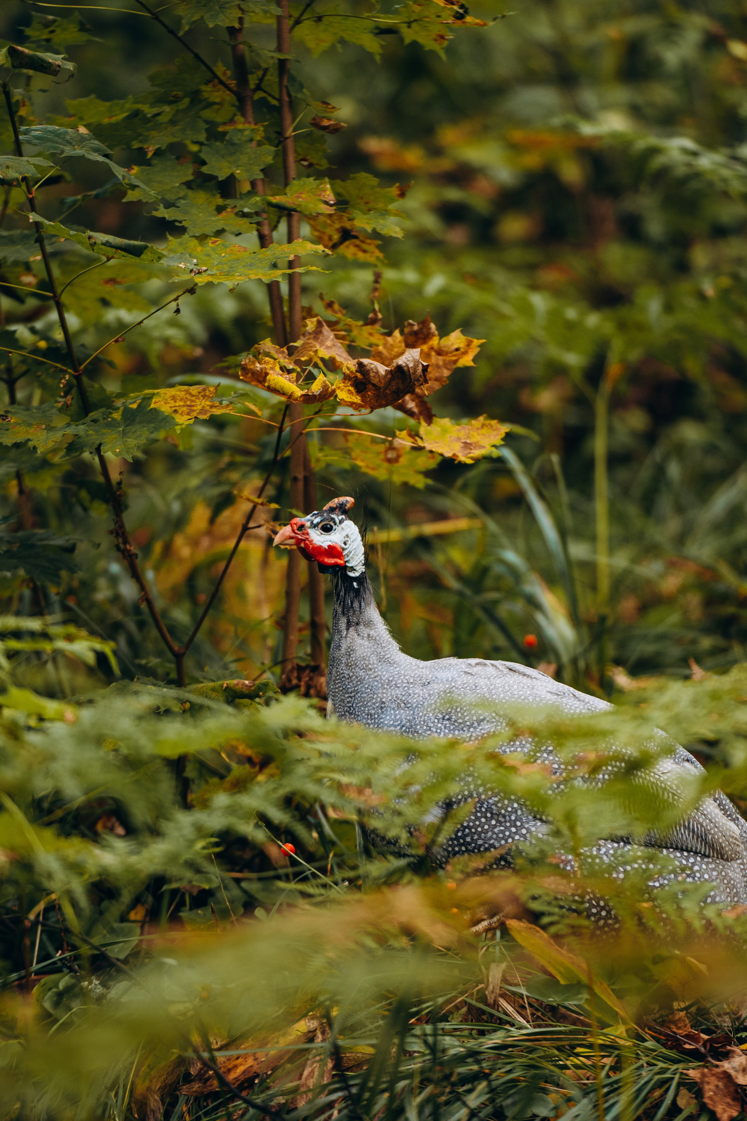 СЕВЕР. Event фотограф Степанова Александра