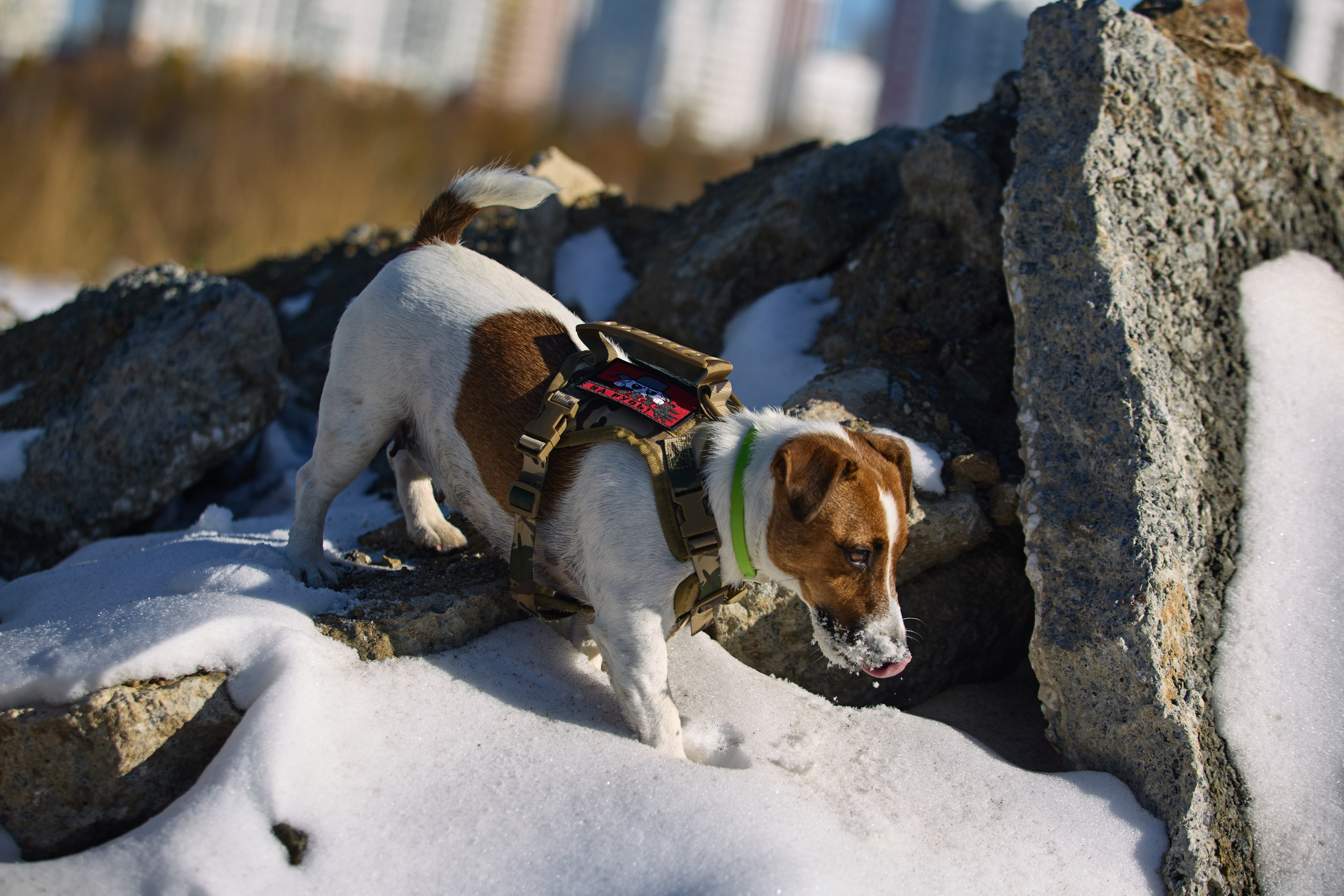 Лети Спасатель. Buyvolenko Andrey