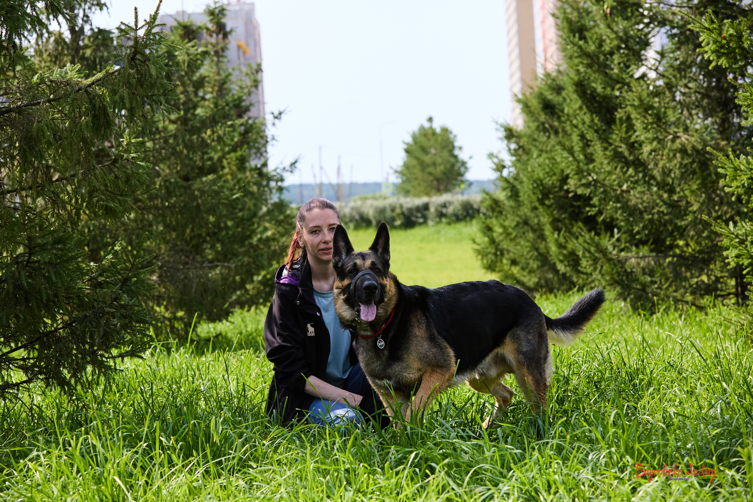 Проект фотопрогулка с хвостиком. Buyvolenko Andrey