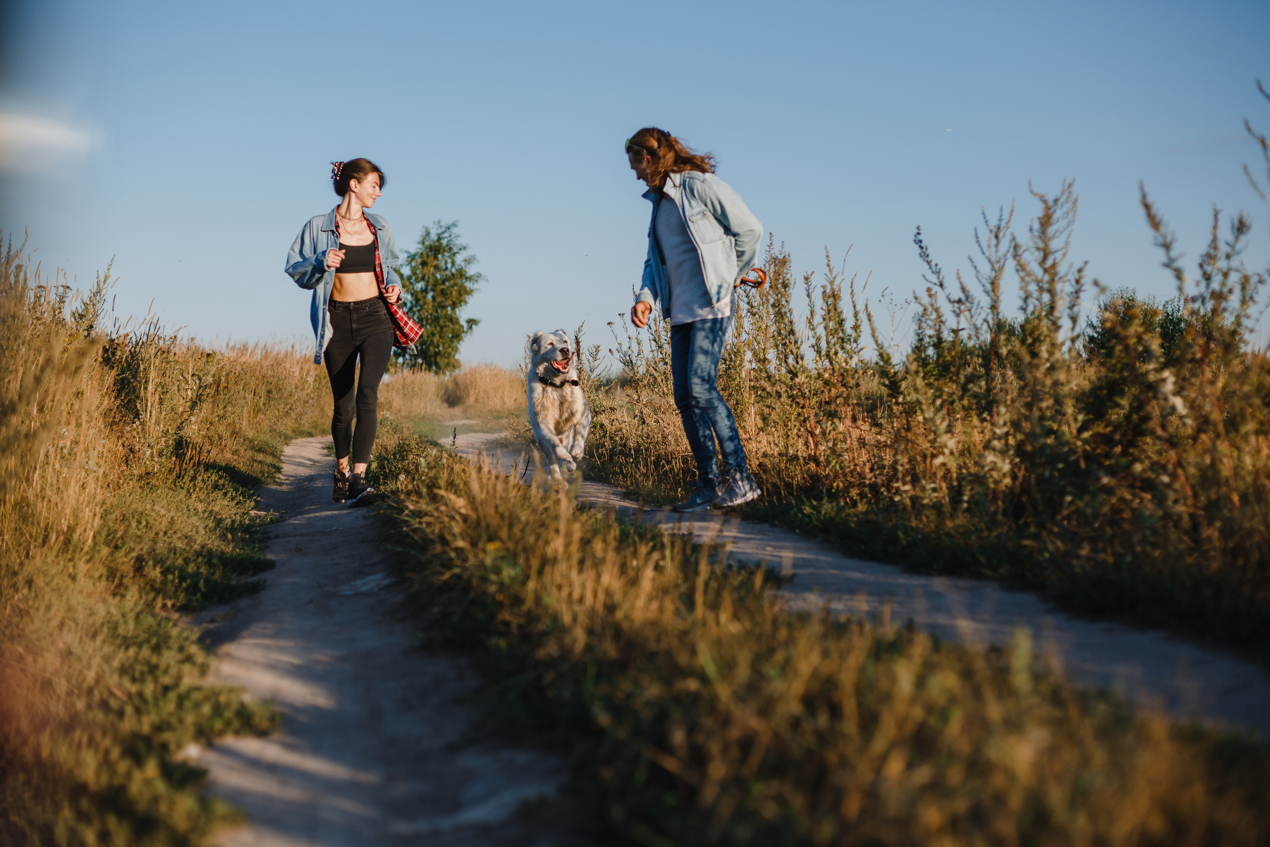 Олег, Женя, Берта. Семейный фотограф Николаева Ольга