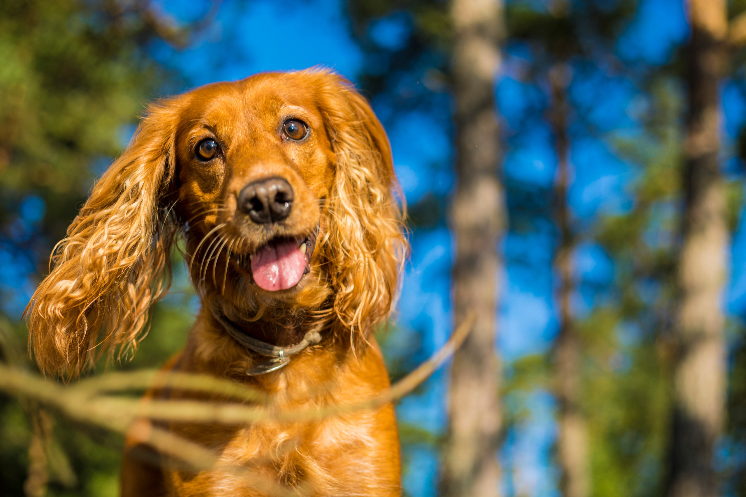 Полина и Игорь. Фотограф Александра Степанова