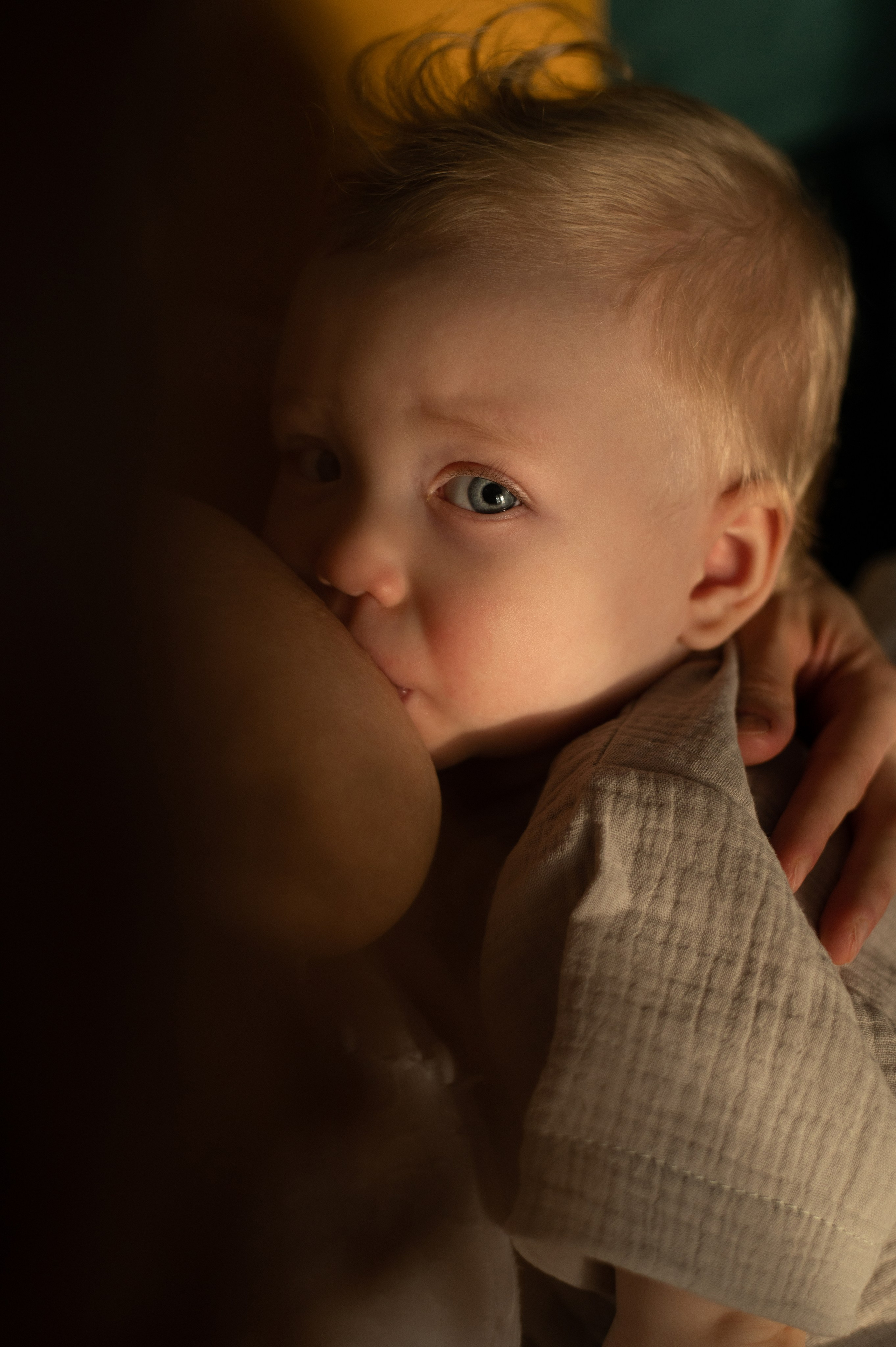 Съёмка семьи с новорожденным или малышом на ГВ. Семейный и детский фотограф в Москве Анна Оськина