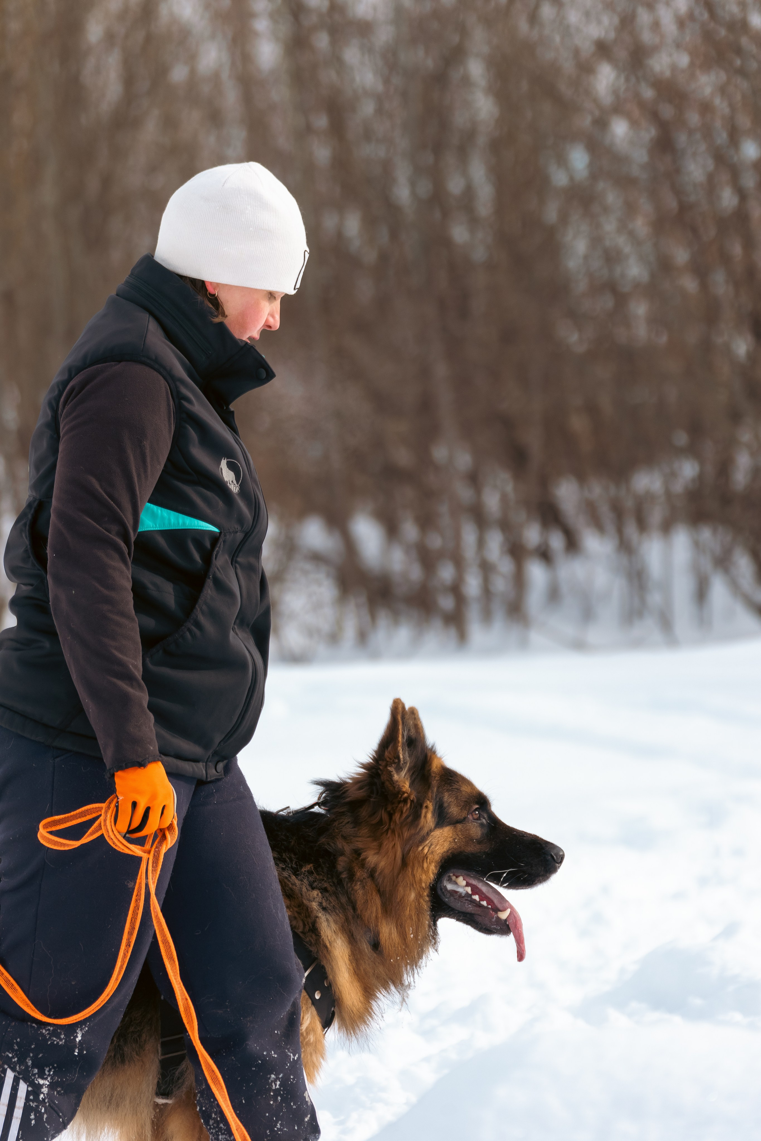 Репортажная съемка. Фотограф-анималист Нижний Новгород