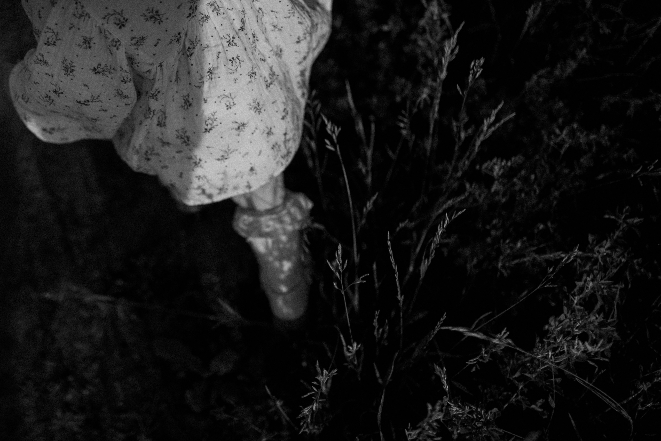 Ида, Мира и ромашки. Свадебный и семейный фотограф Кожевникова Лариса