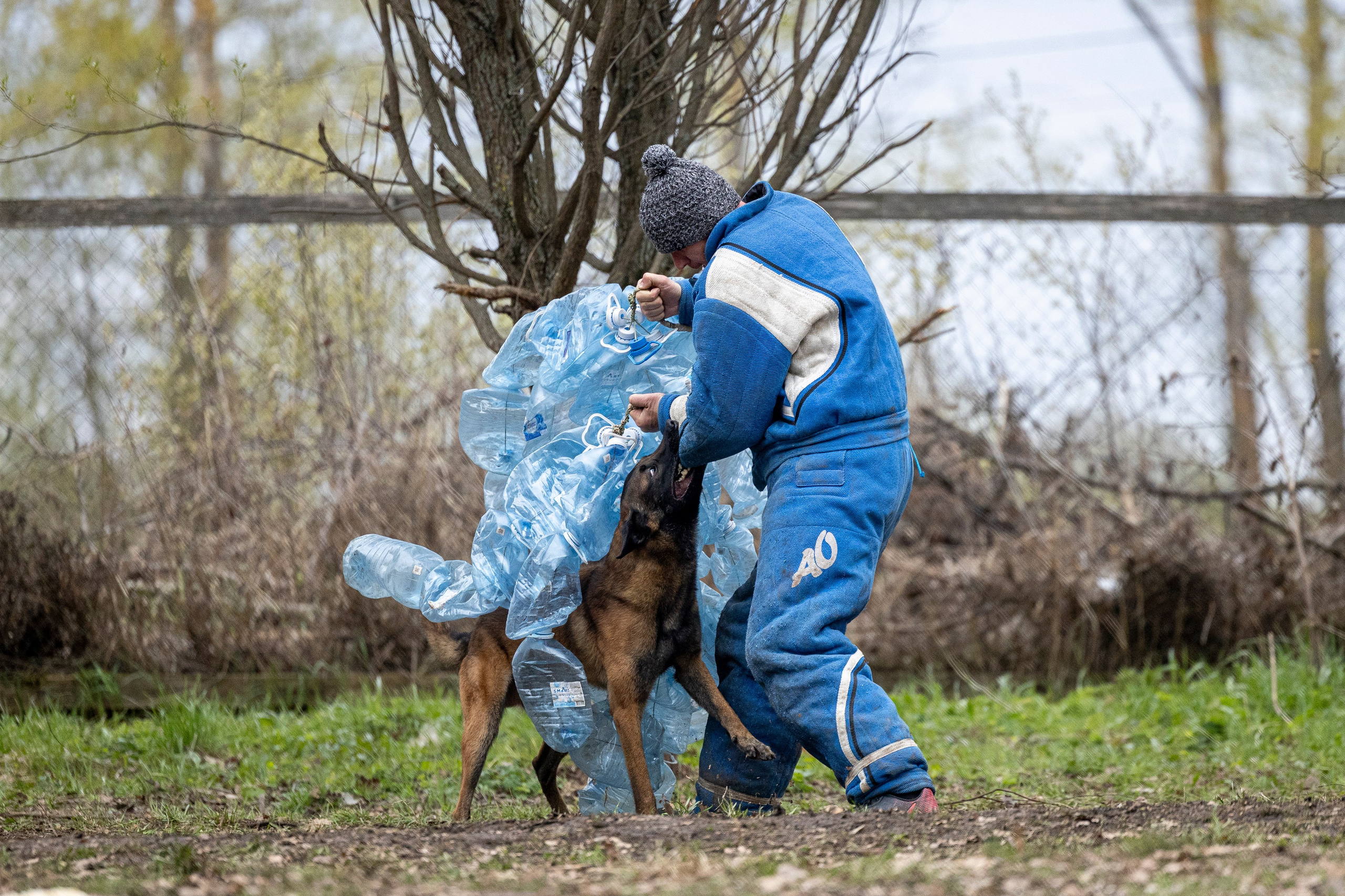 Квалификационные состязания по мондьорингу г. Вологда 11.05.24. Фотограф-анималист Анна Маринич