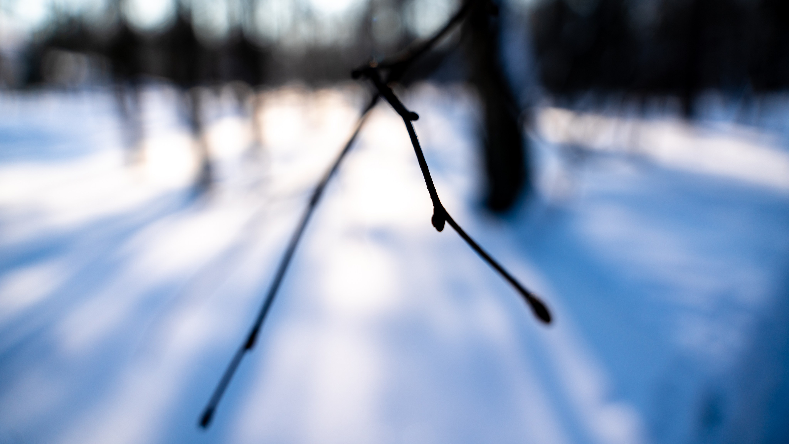 ПЕРЕДЕЛКИНО. ПОБУДЬ ЗДЕСЬ И ЦЕЛЕЕ БУДЕТ ЭТОТ МИР