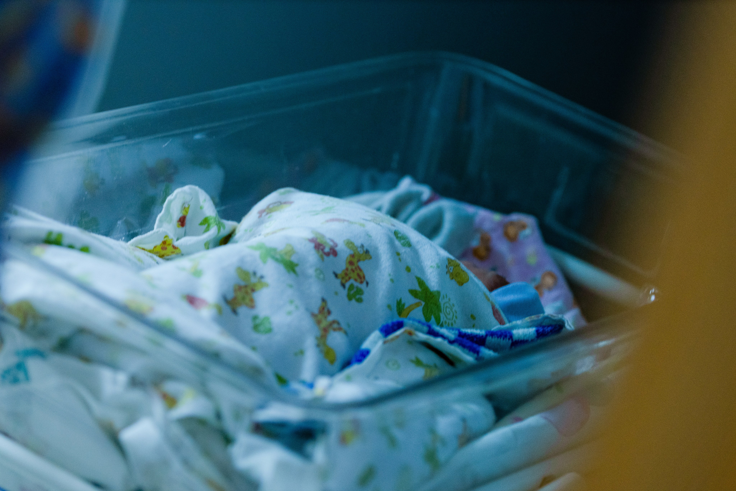 Выписка Павла. Детский и семейный фотограф Евгения Вахнеева Москва Зеленоград