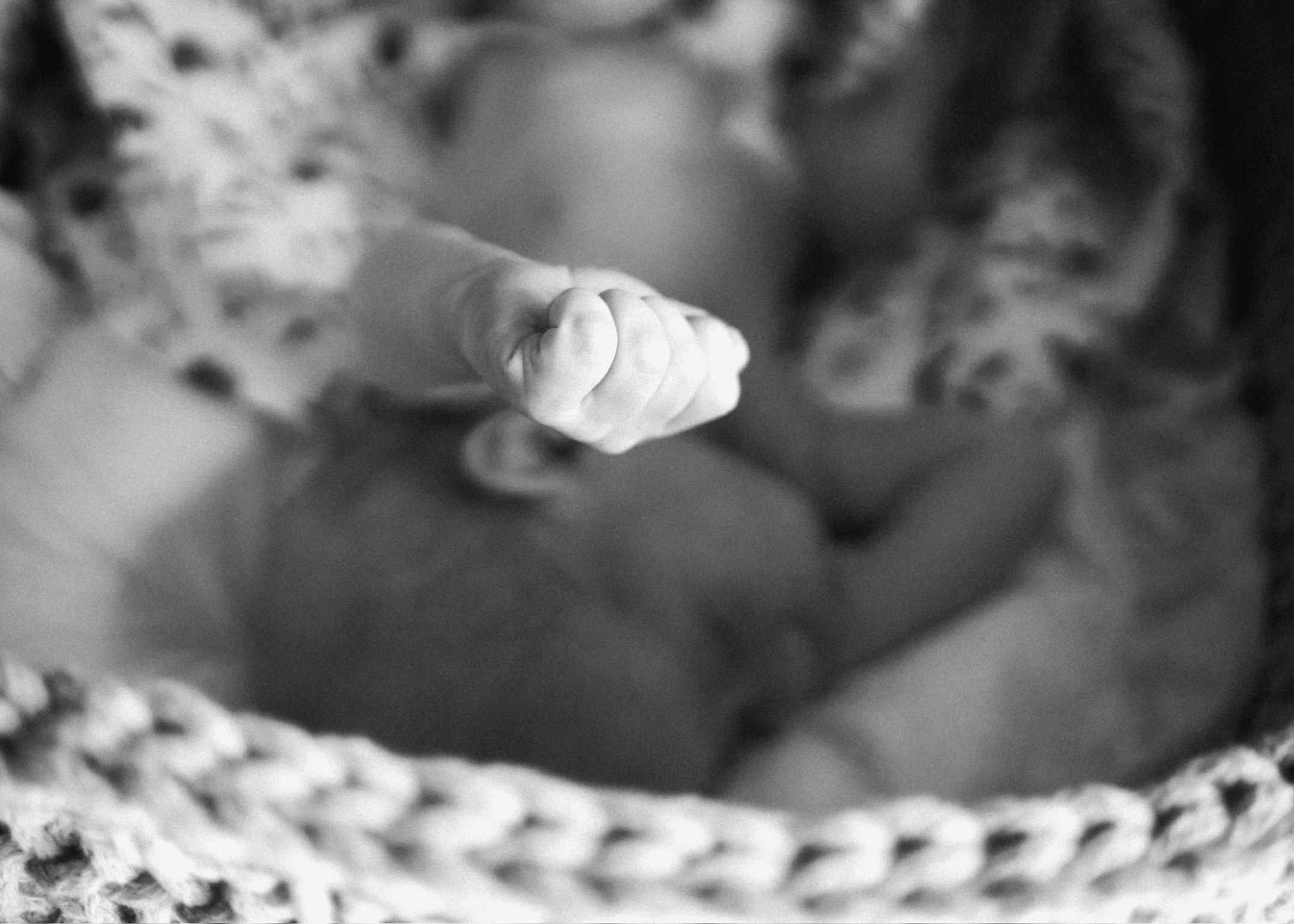 Петя. SHILOVA PHOTO. Шилова Екатерина. Фотограф. Москва