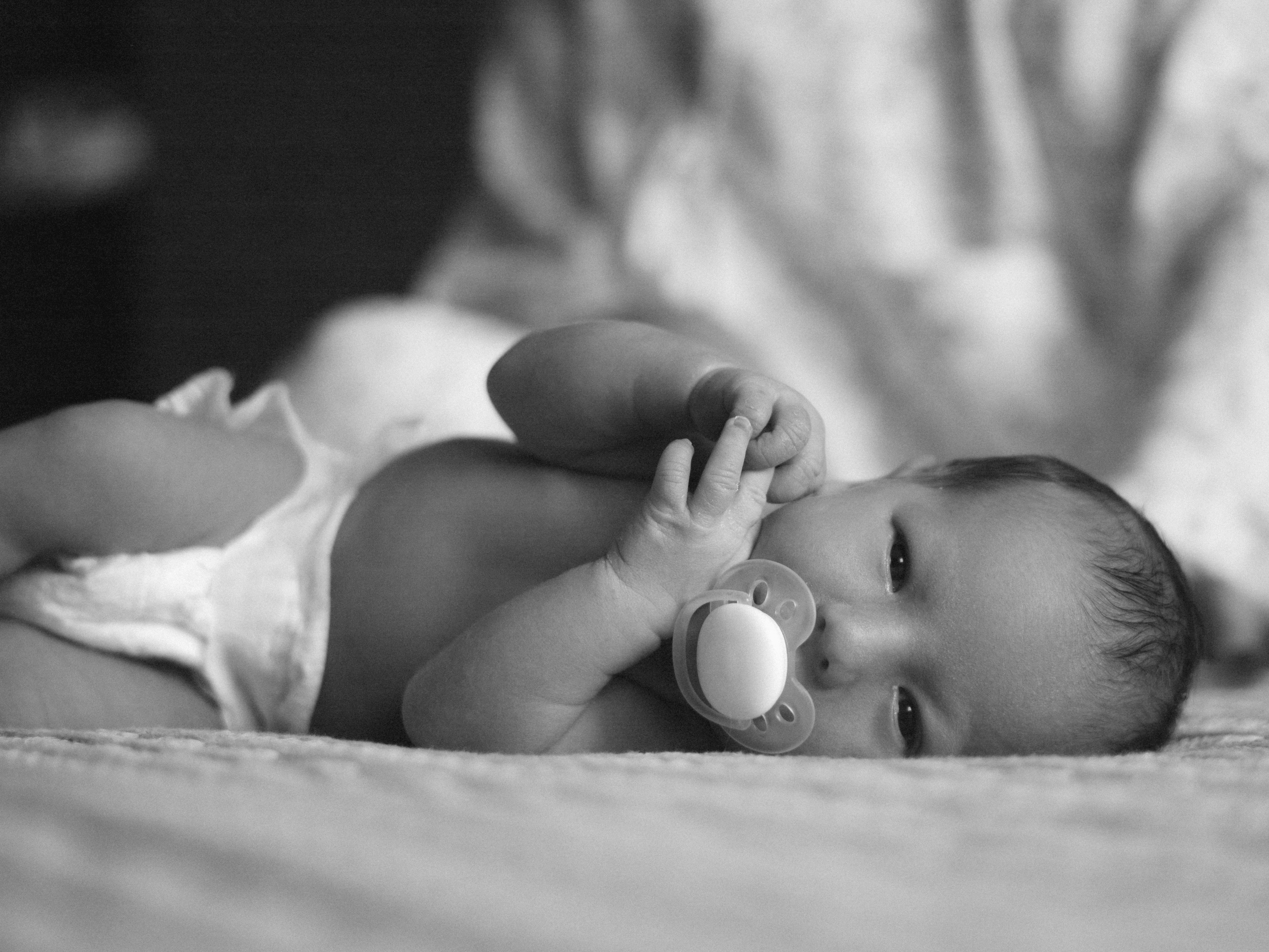 Мироша. SHILOVA PHOTO. Шилова Екатерина. Фотограф. Москва