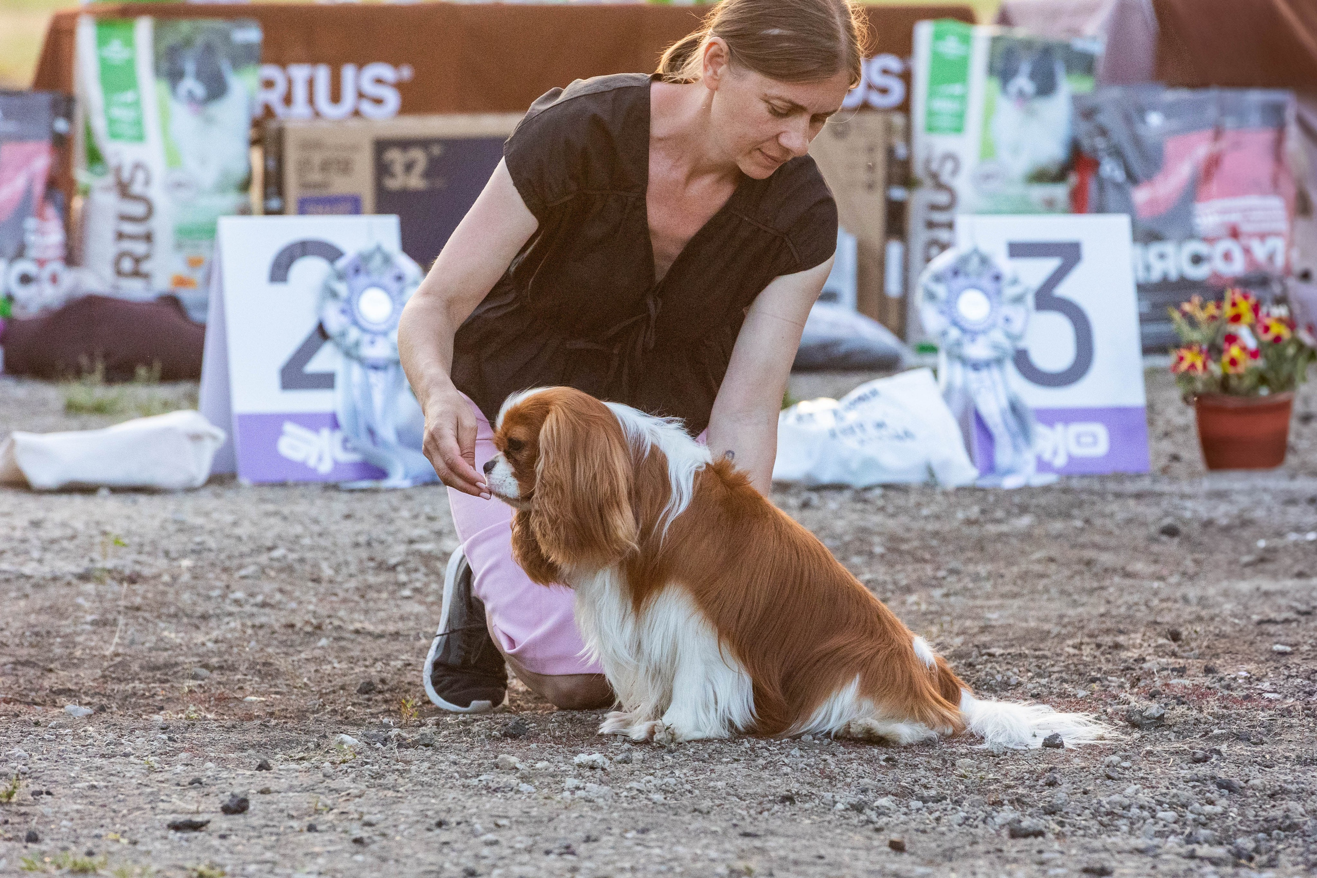 Репортаж (фото с выставок). Фотограф-АниМалист Анна Абрамова