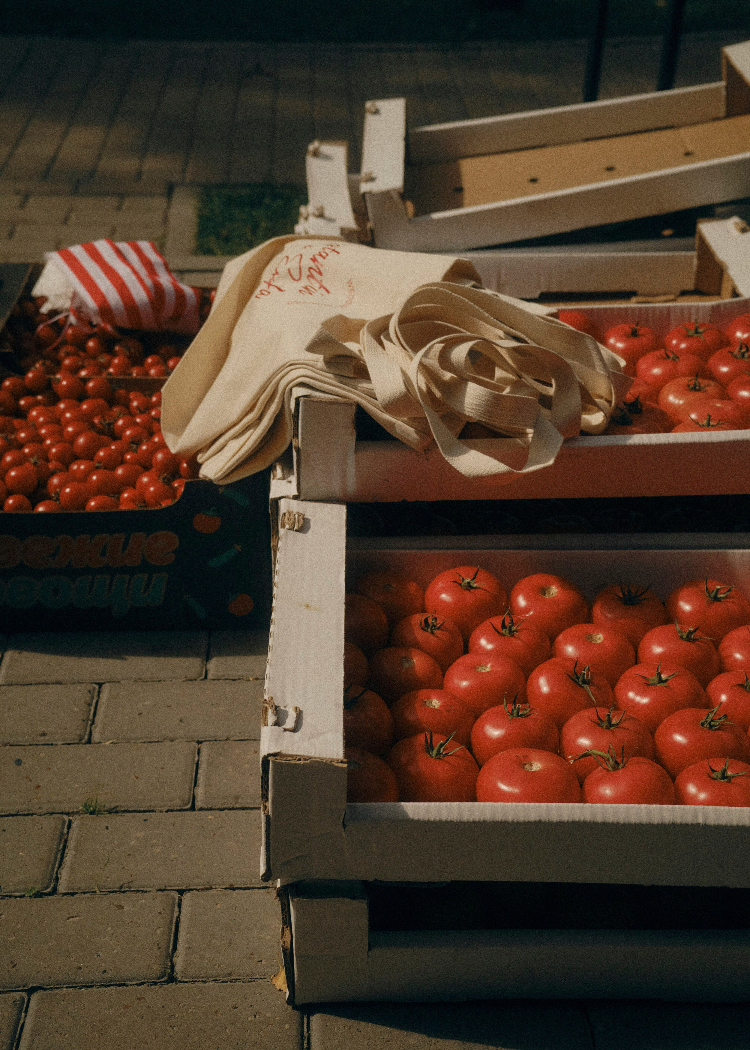 Kostya & Sofa. Фотограф Тим Бритнев