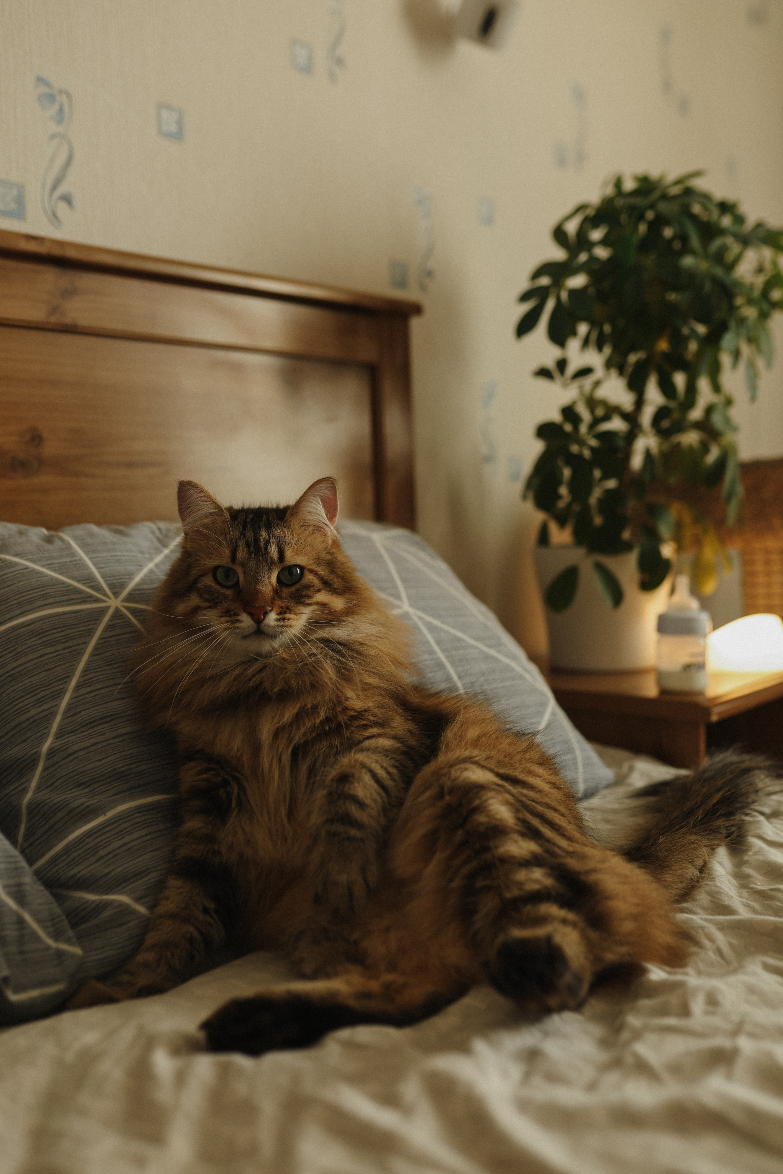 Леша🤍. Фотограф на роды в Санкт-Петербурге, семейный, нью-борн Алиса Хрекова