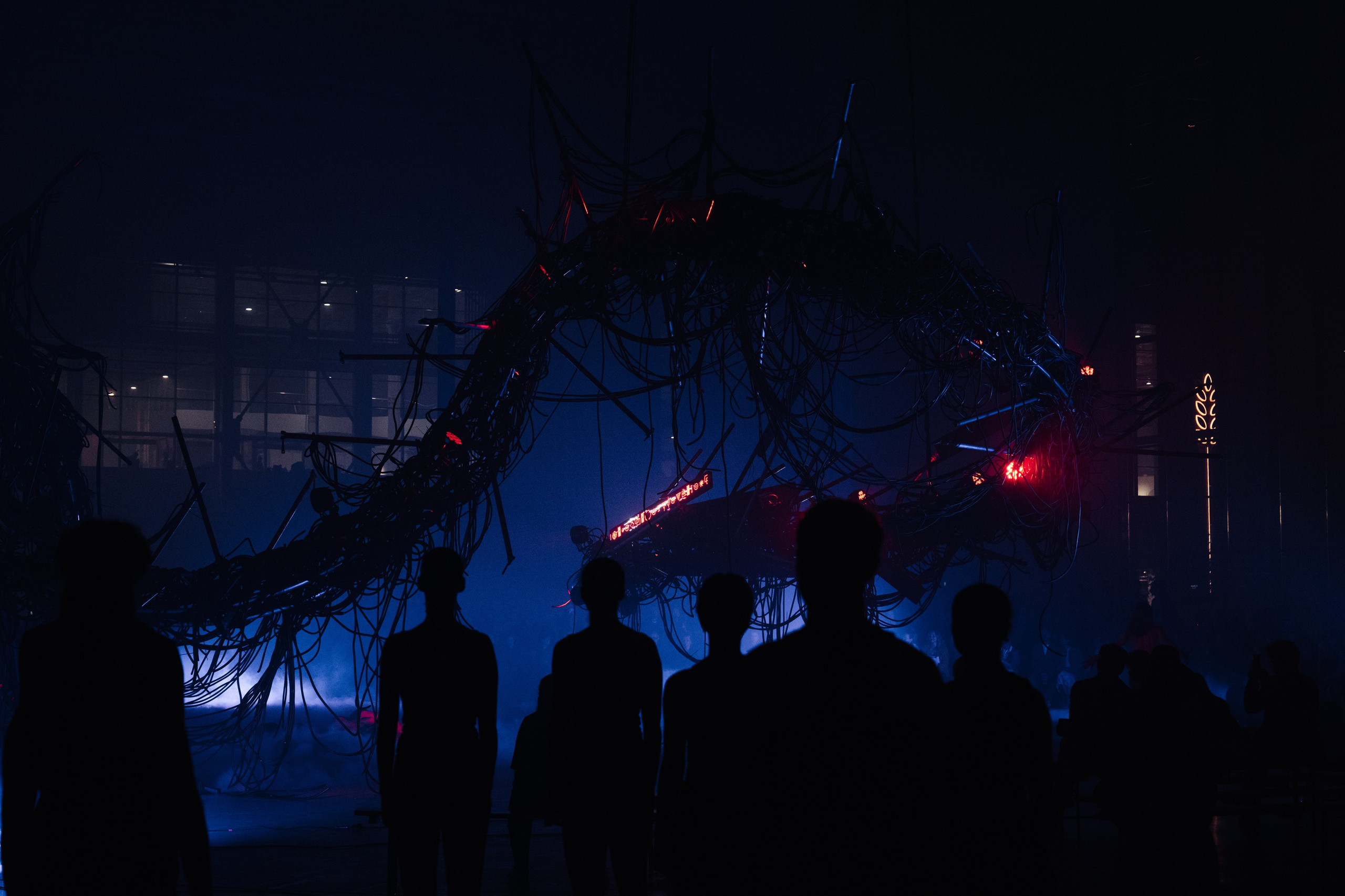 PERFORMA, The Hour of the Horse. @tomrus: Рустам Шагиморданов — фотограф