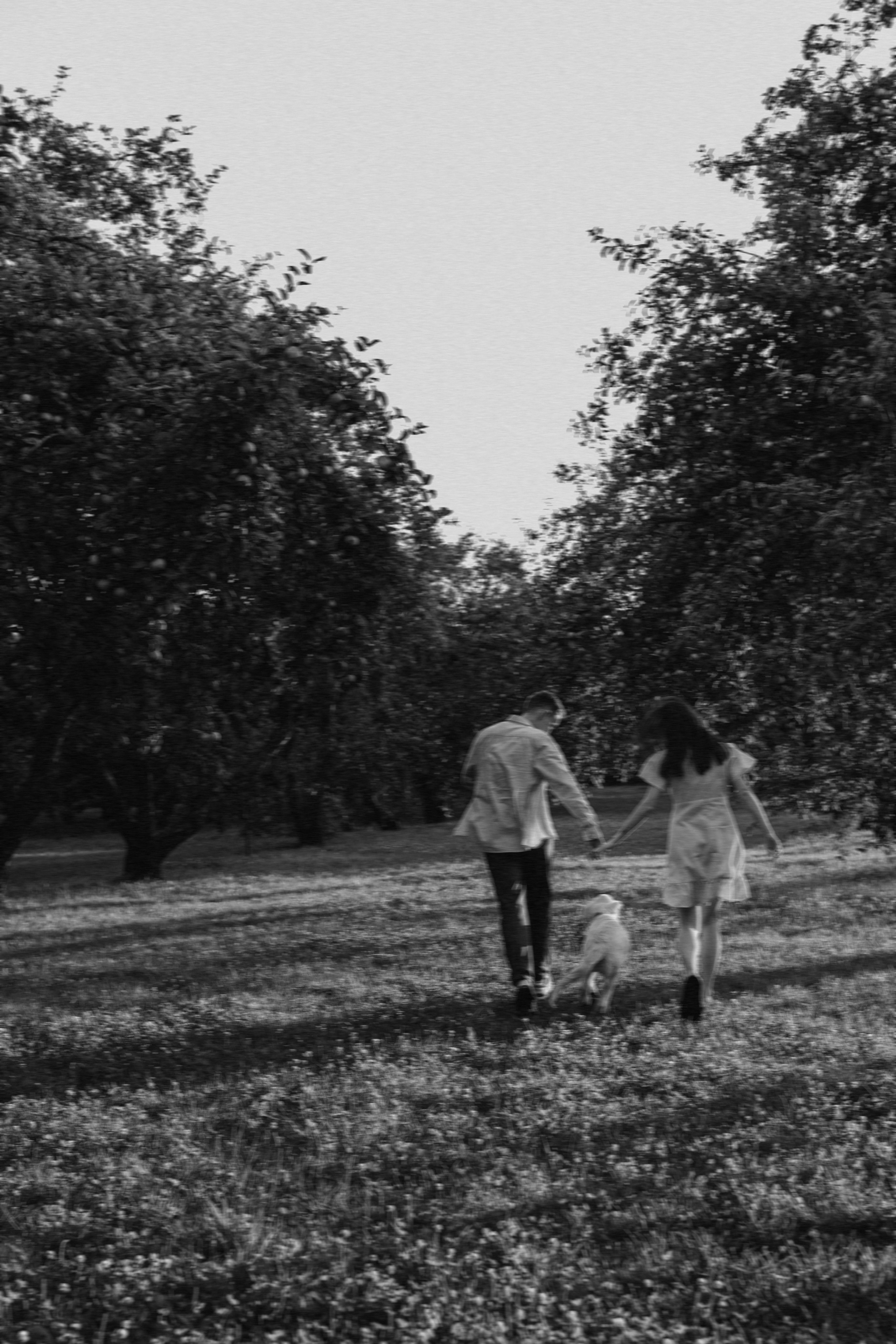 Алеся & Саша. Семейный фотограф в Москве