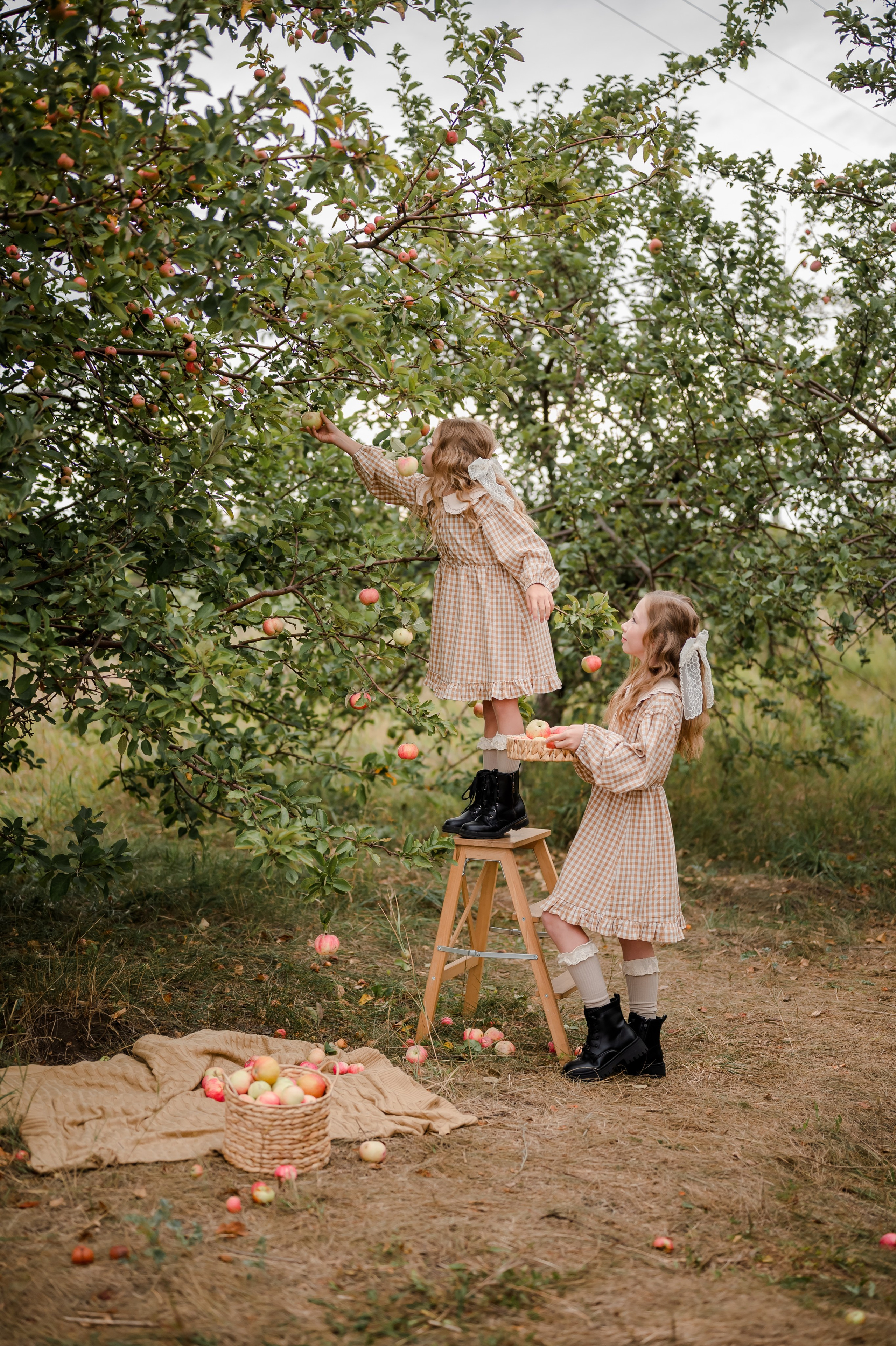 Яблоневый сад. Фотограф в Москве и Московской области Людмила Виноградова