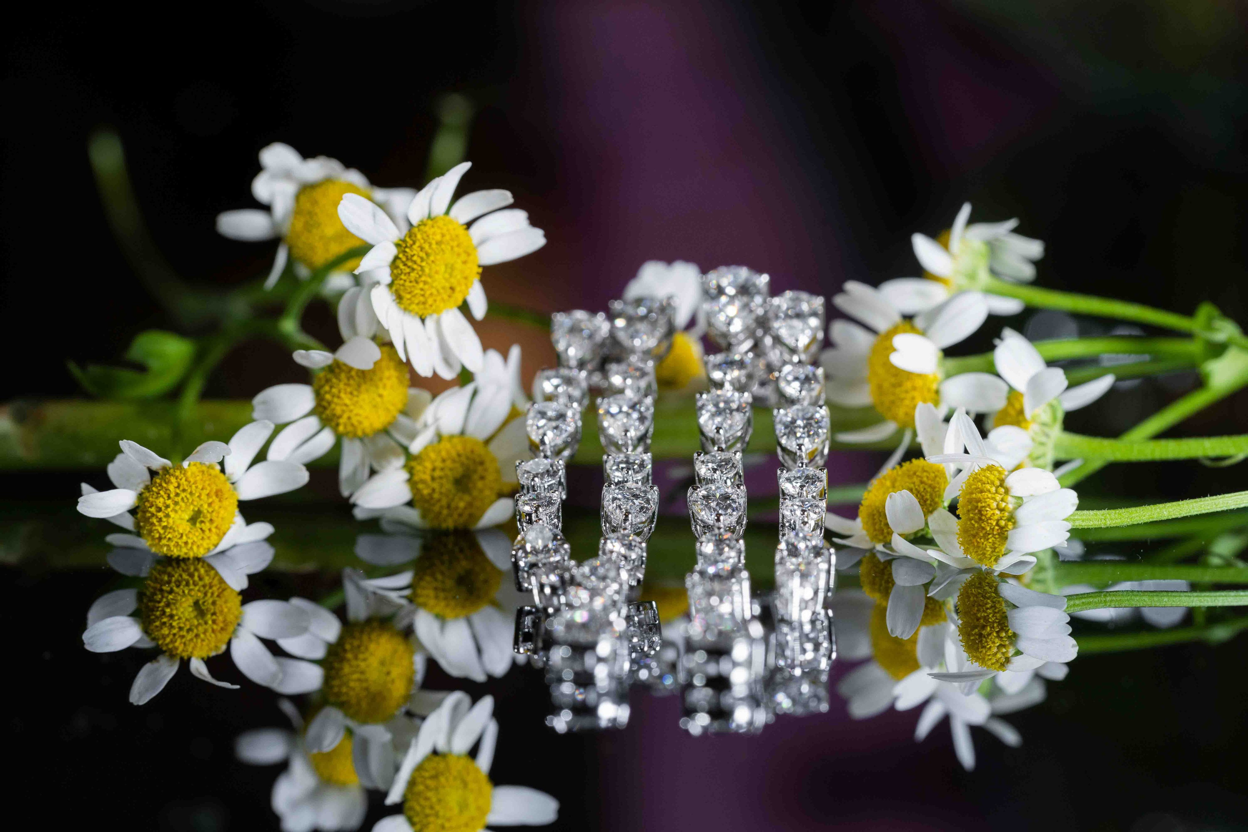 Арабская скромная помолвка дома (приватность на женские лица). Фотограф и видеограф в Москве и Абу Даби Мария Кулагина