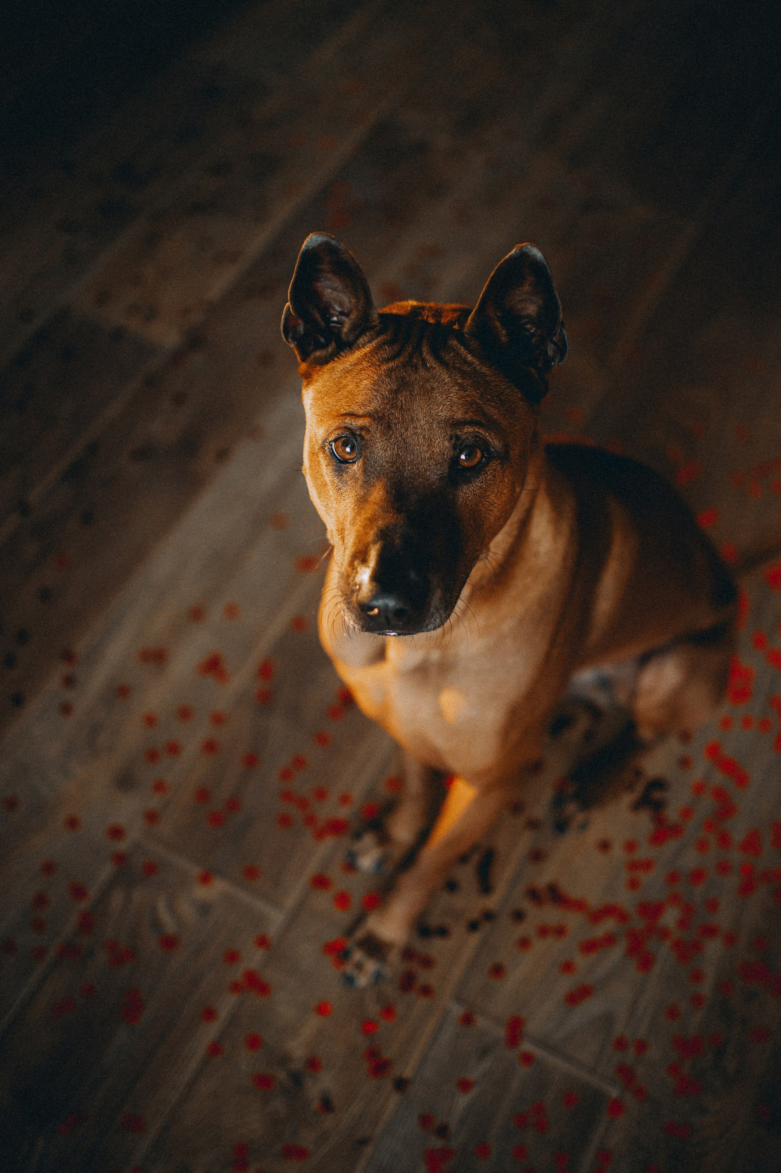 Оксана и Зевс