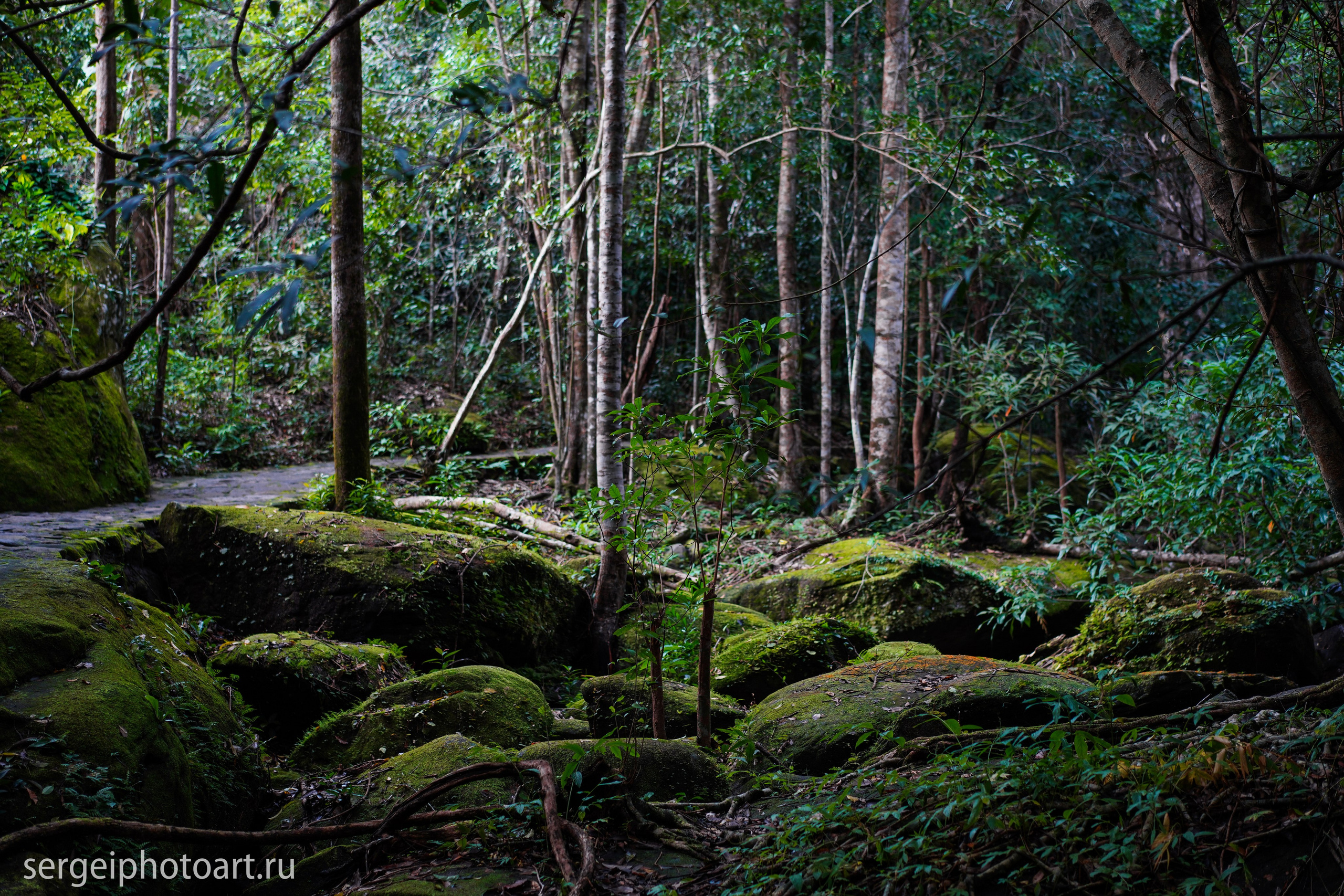 Остров Фукуок, Вьетнам. Фотограф Сергей Кишкель Дананг Нячанг Фукуок