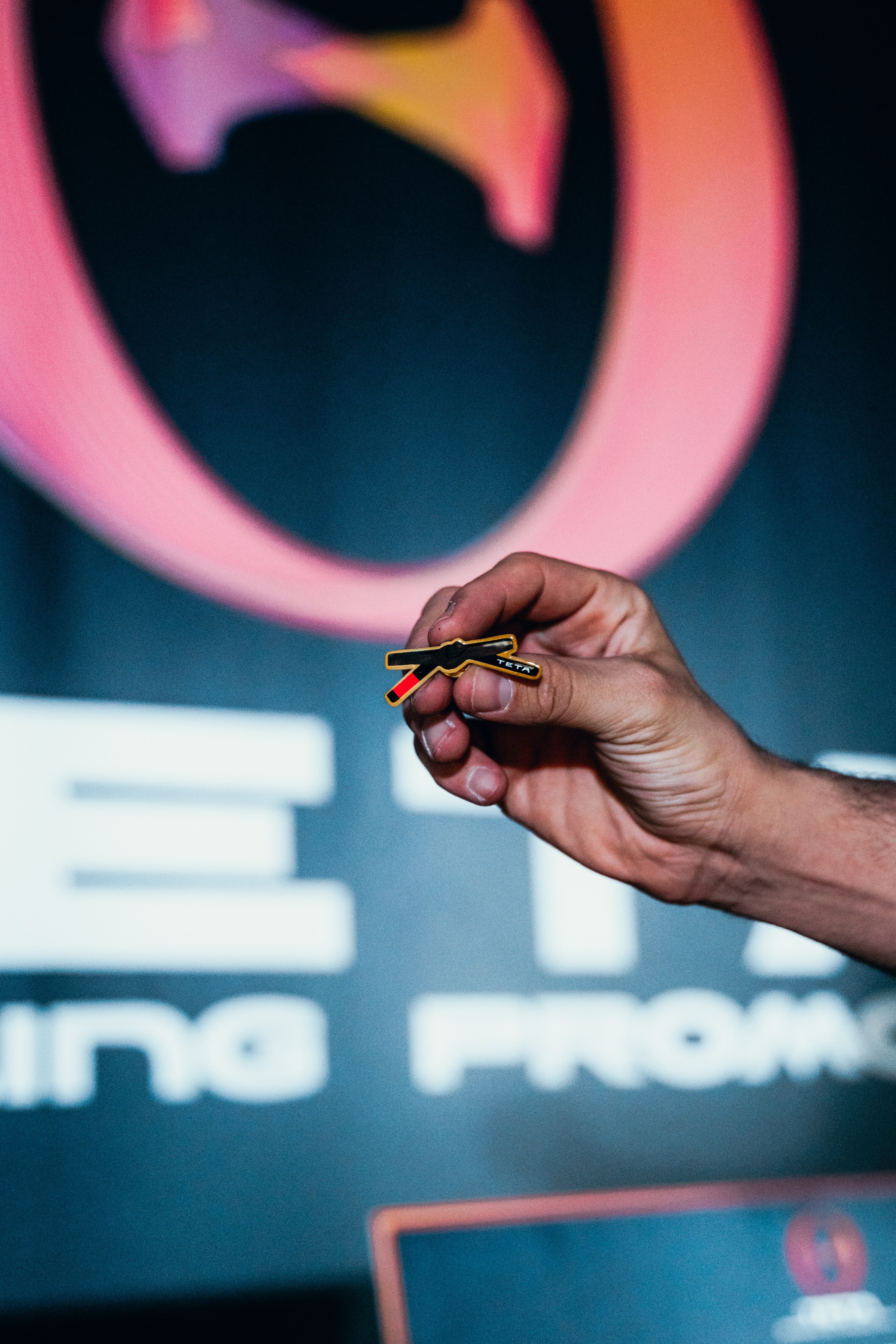 Турнир Teta Promotion 2024. Главная