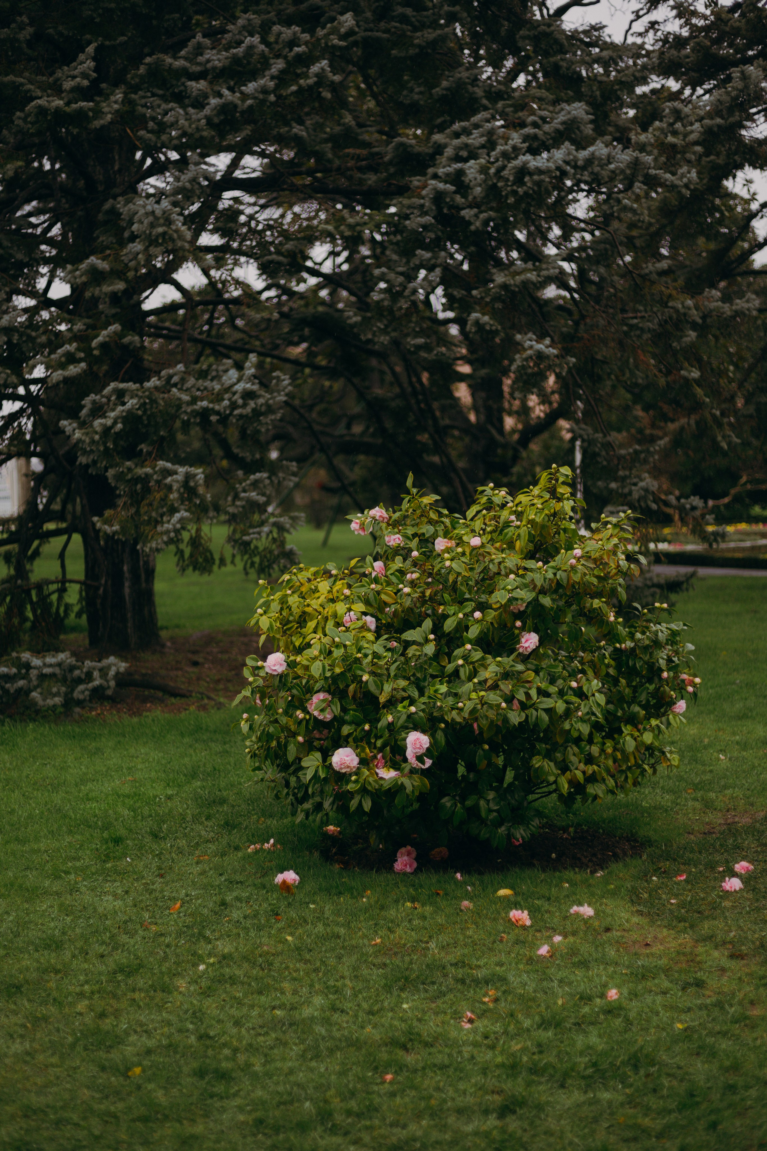 Стамбул. Профессиональный Фотограф во Владимире, в Москве и в Суздале — Полина Романычева