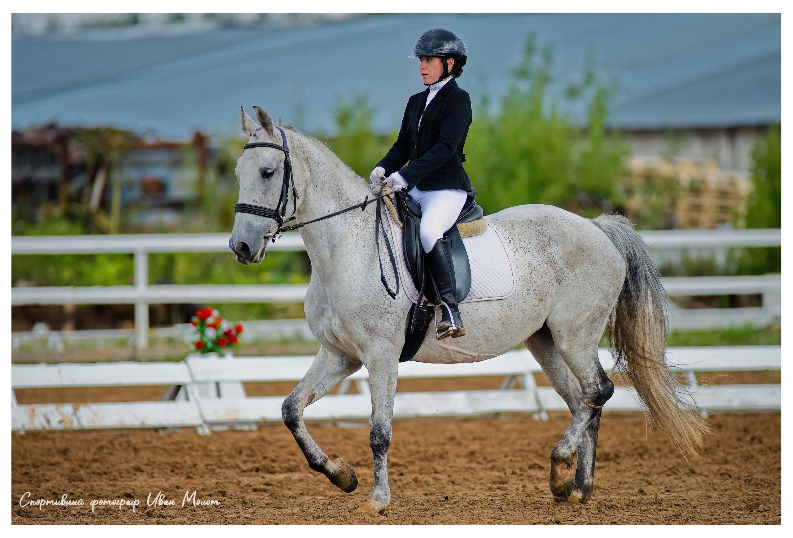 Конный спорт. Спортивный фотограф Иван Молот (Киров)