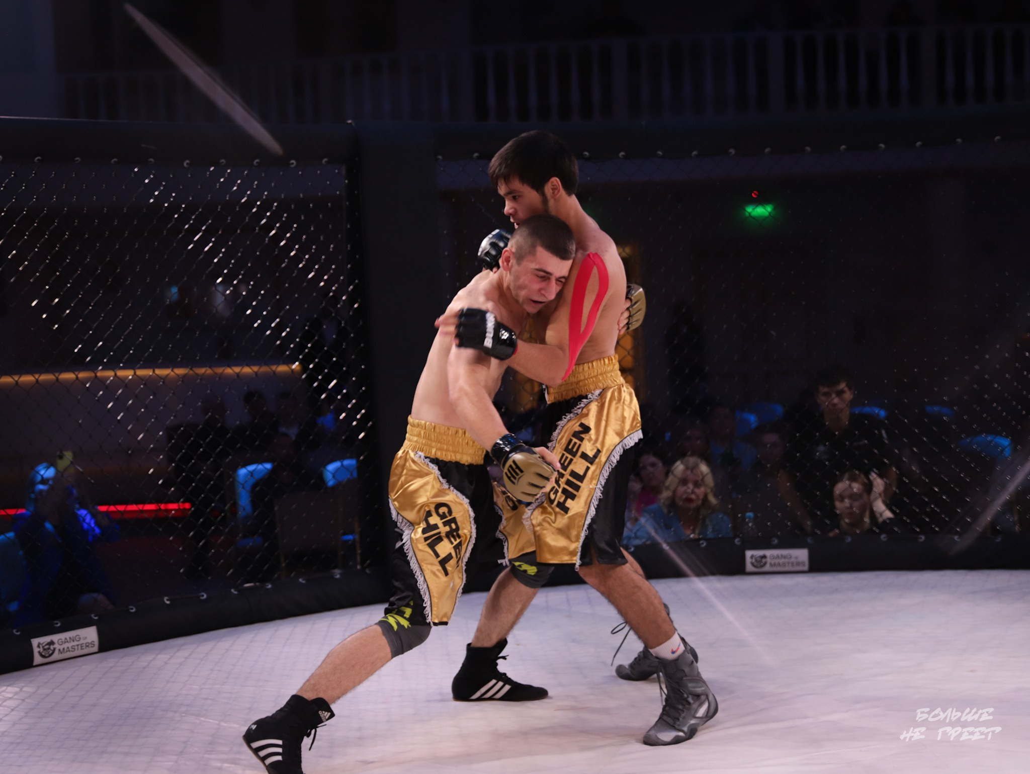 SABR FIGHTING. Больше не греет