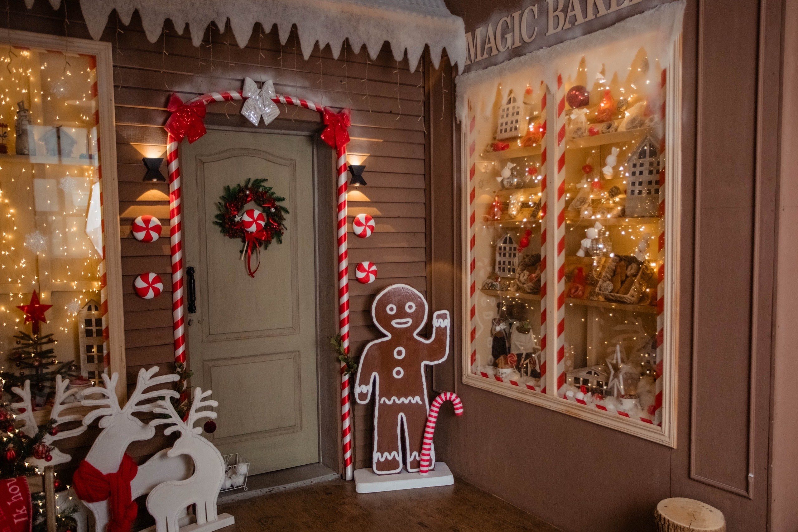 Новогодние фотосессии в студии. Семейный, школьный фотограф в Нижнем Новгороде Елена Сентюрева