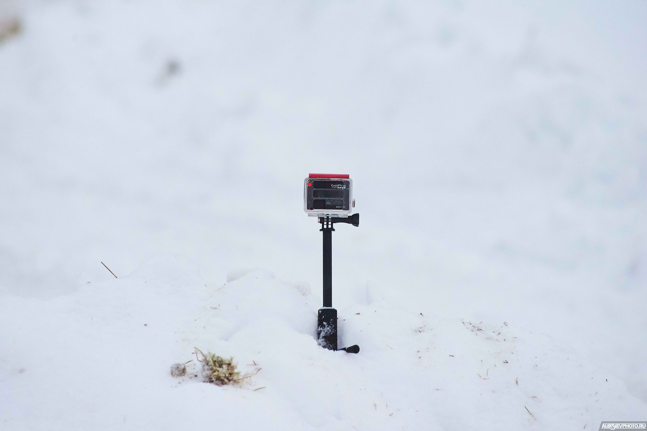 2018.02.17 — Золовкины посиделки у АвтоКОТов. Фотограф Алексей Алексеев