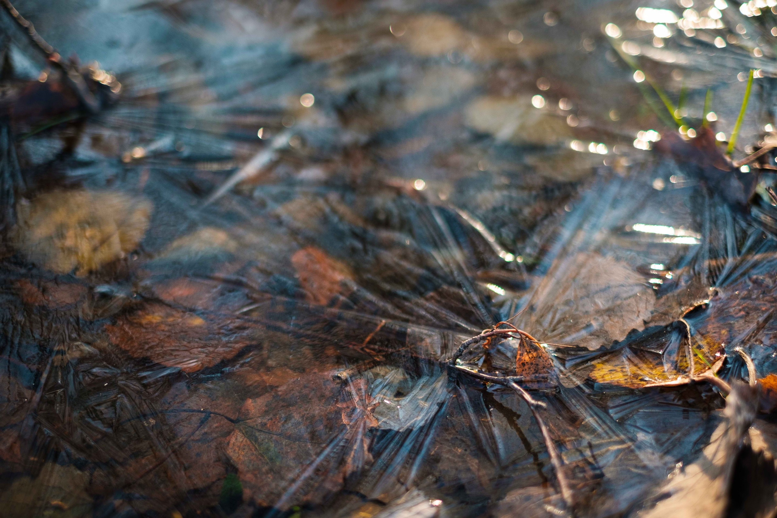 2021.11. Фотограф Алексей Алексеев