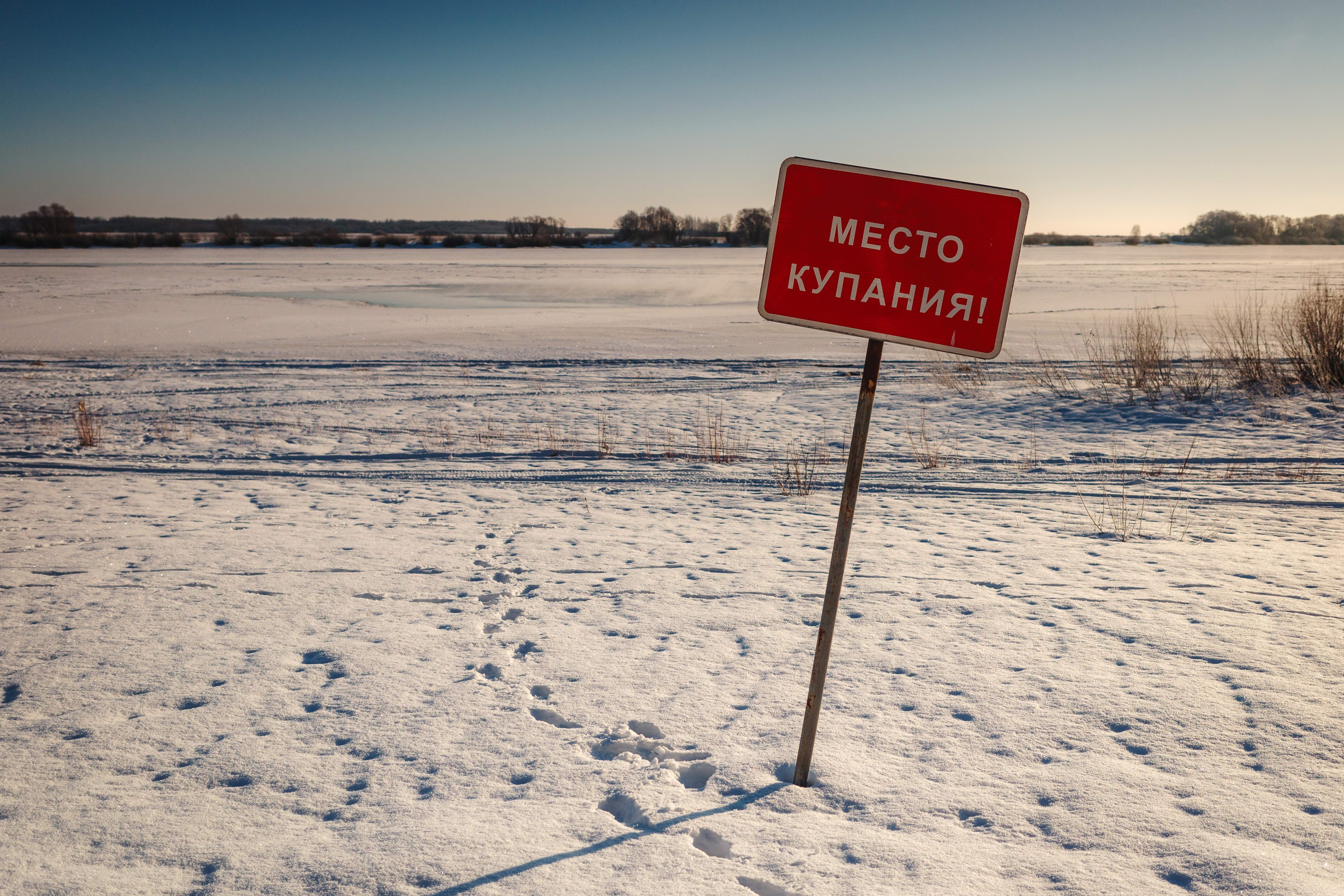 2024.01. Фотограф Алексей Алексеев