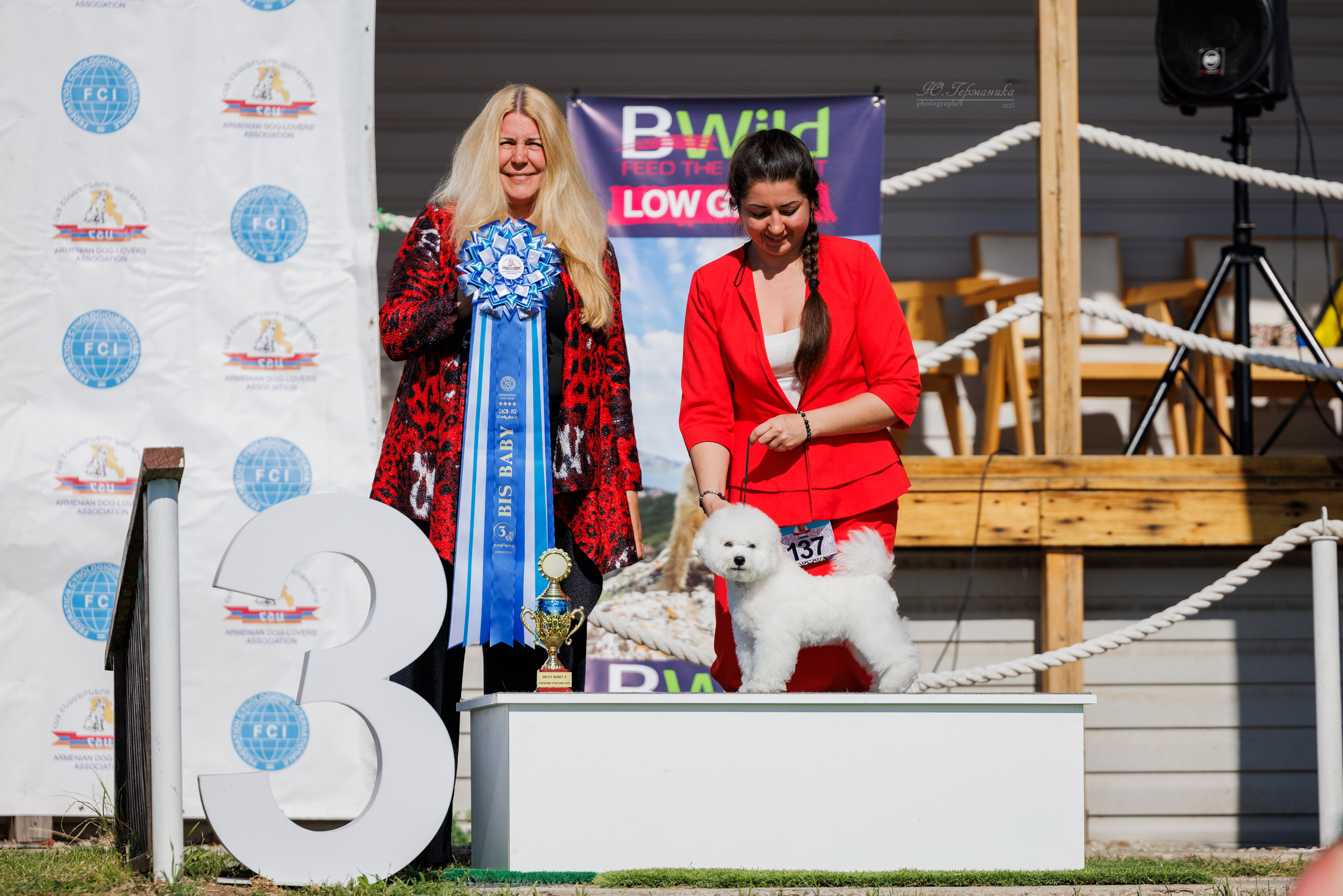 Ереван 14-16.10.2025. Фотограф-анималист Юлия Германика