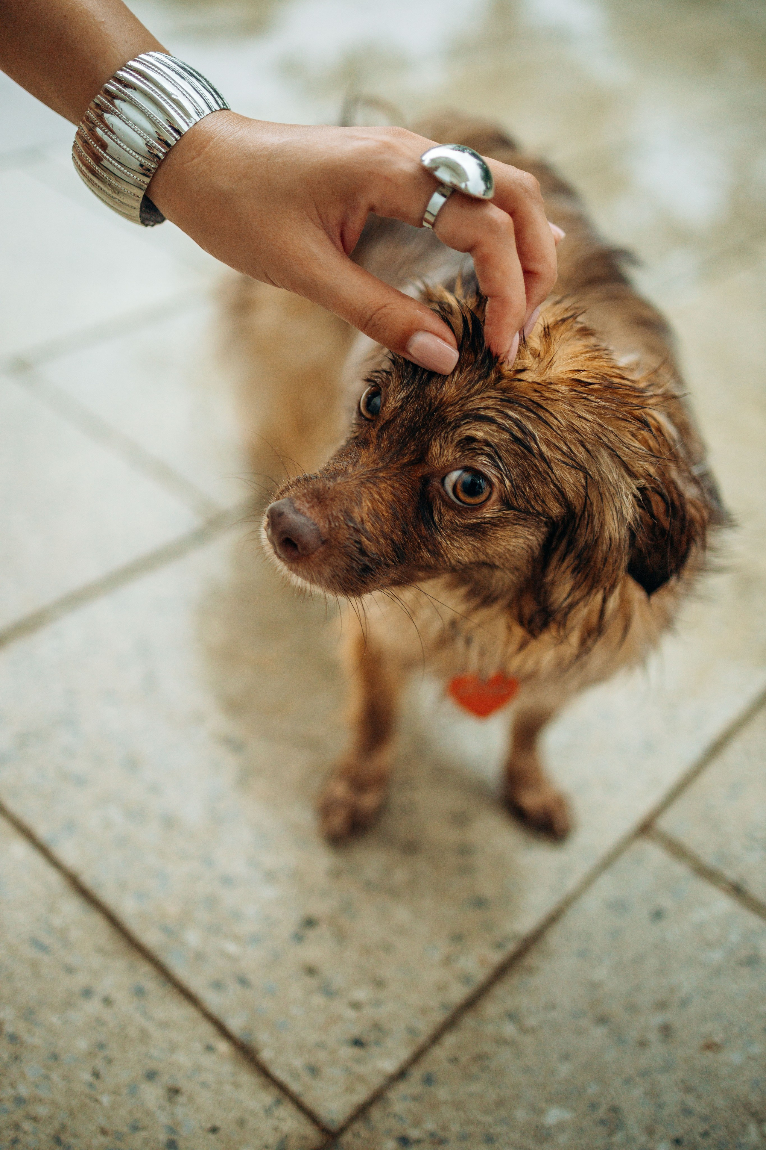 Дарья и Ассоль