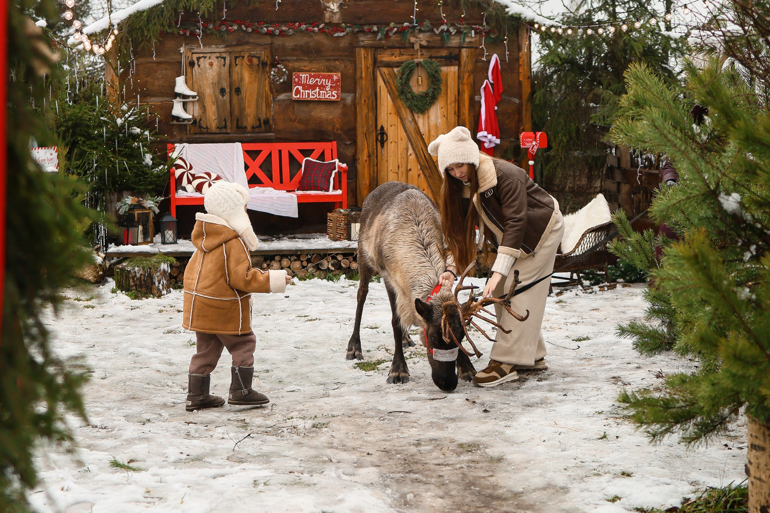 В Гостях у Санты и Северных оленей. Я Лена — семейный фотограф в стиле Life Style Москва и Подмосковья: Балашиха, Пушкино, Щелково, Домодедово, Дмитров. Я за эмоции и любовь