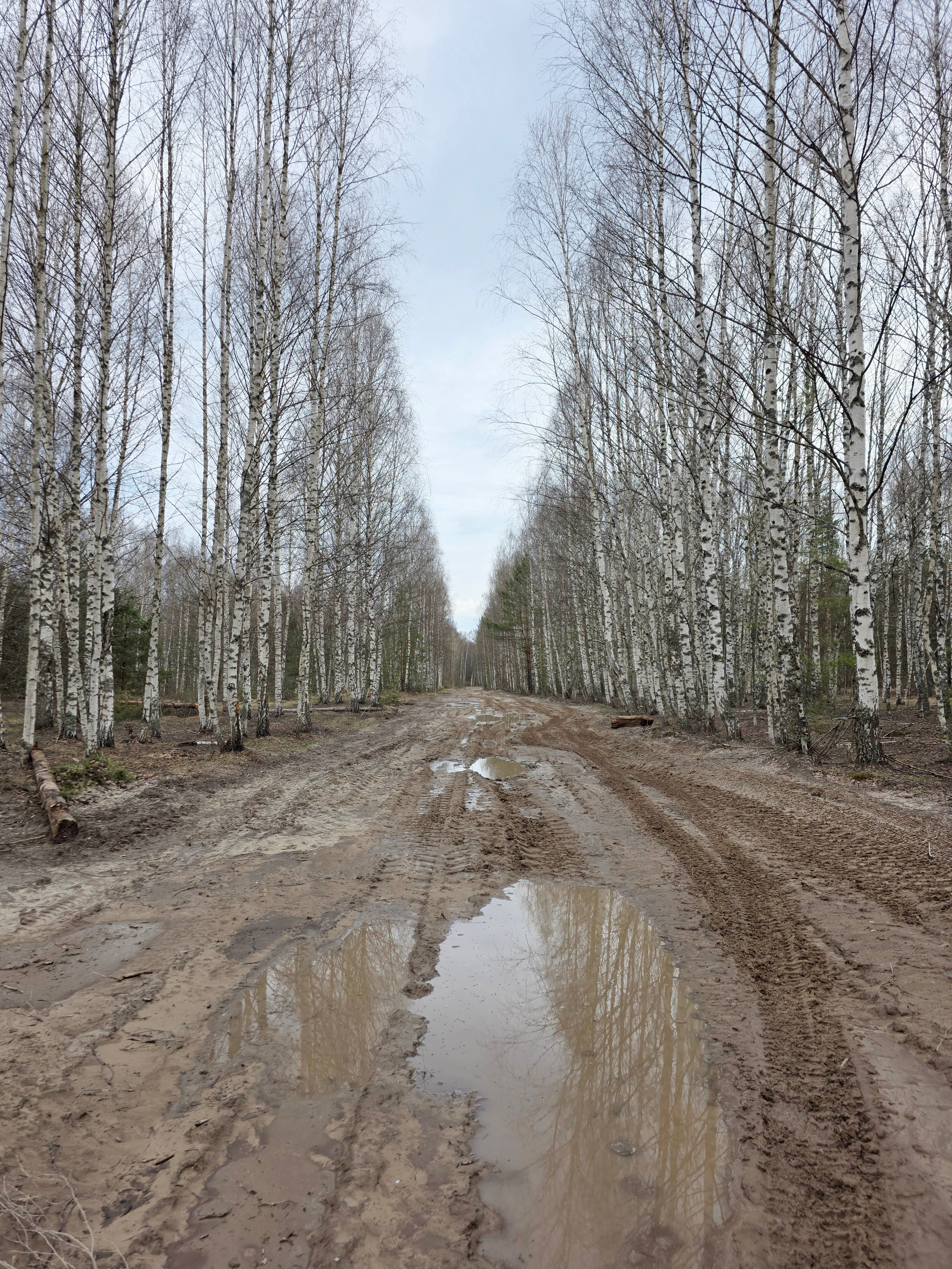 Пейзаж. Фотохудожник BID